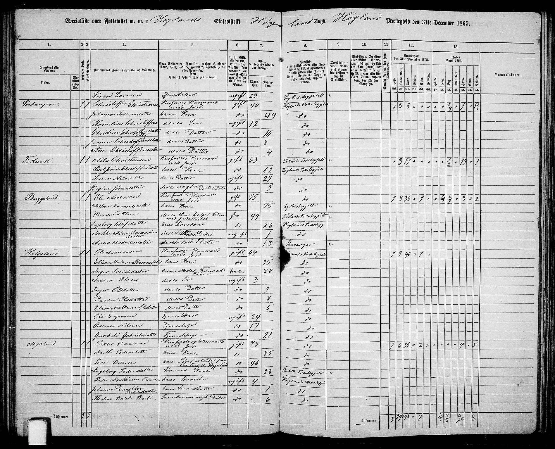 RA, 1865 census for Høyland, 1865, p. 69