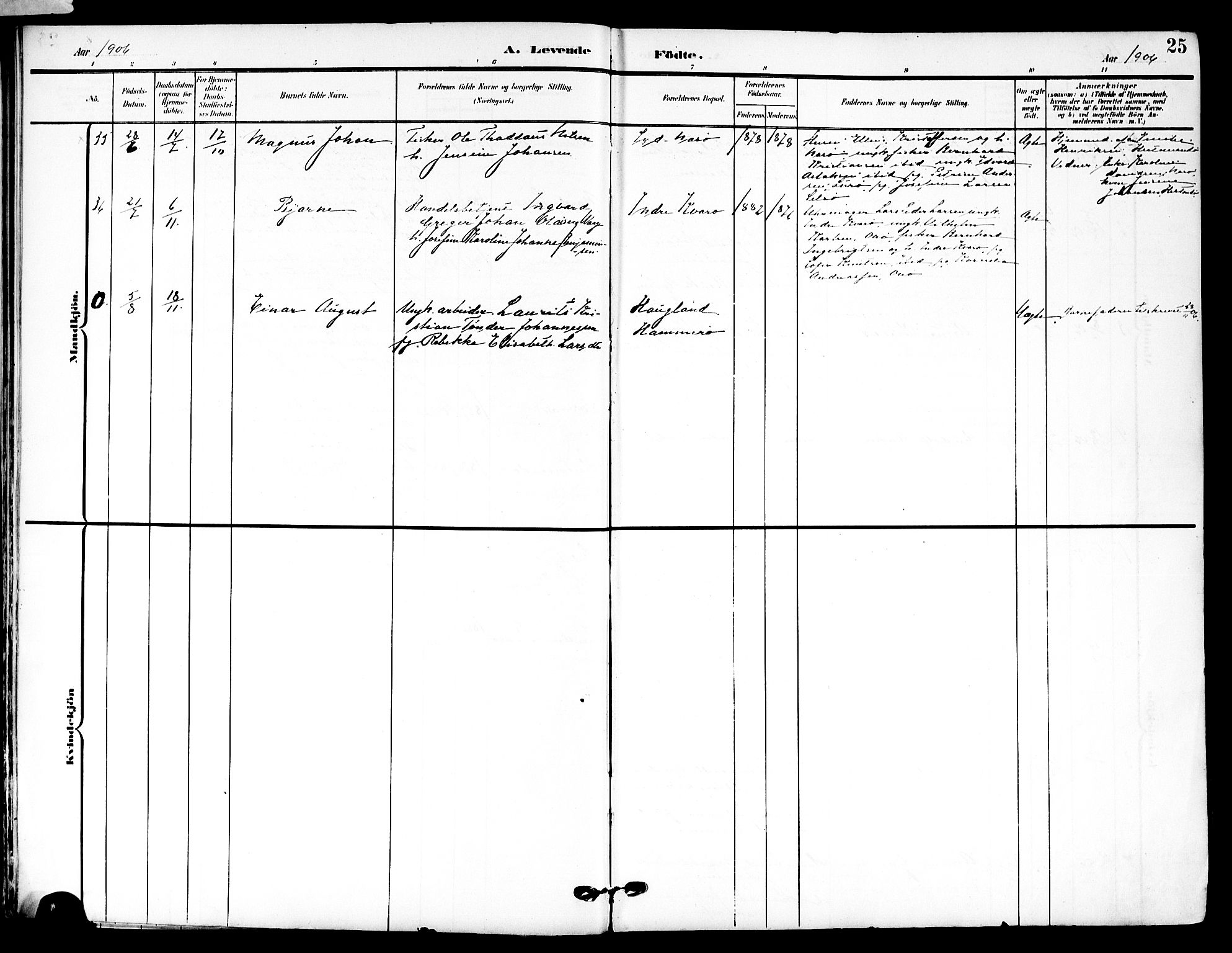 Ministerialprotokoller, klokkerbøker og fødselsregistre - Nordland, AV/SAT-A-1459/839/L0569: Parish register (official) no. 839A06, 1903-1922, p. 25