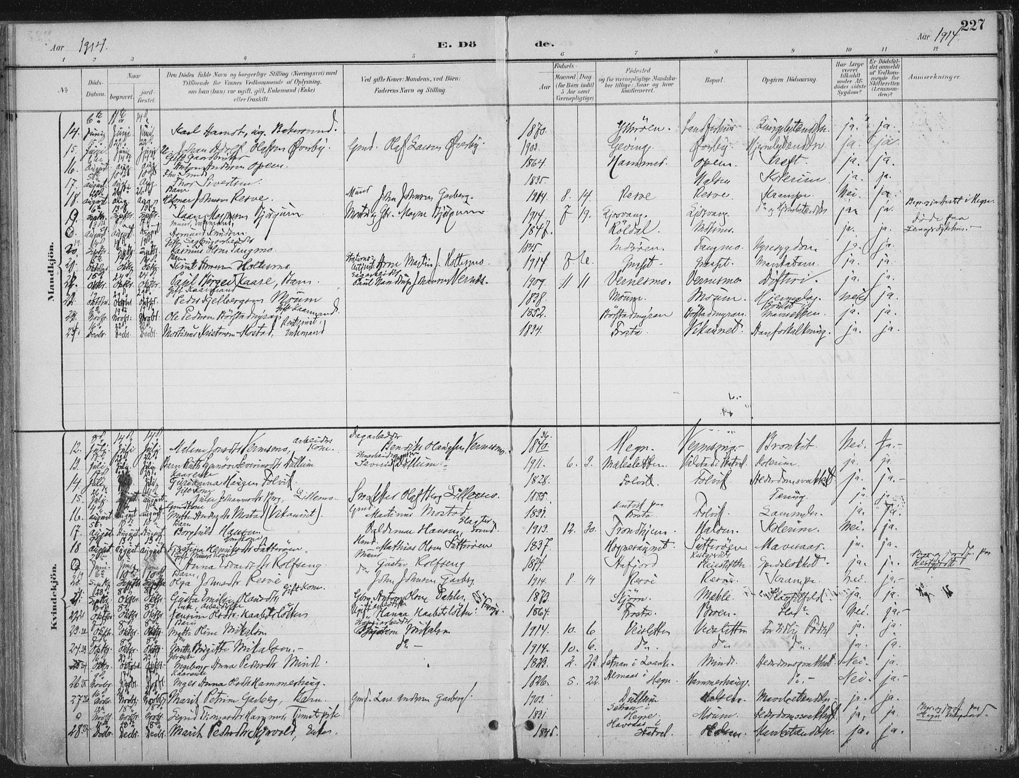 Ministerialprotokoller, klokkerbøker og fødselsregistre - Nord-Trøndelag, AV/SAT-A-1458/709/L0082: Parish register (official) no. 709A22, 1896-1916, p. 227