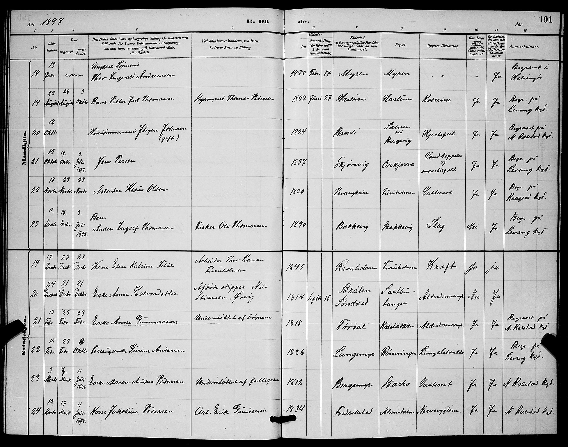 Skåtøy kirkebøker, AV/SAKO-A-304/G/Ga/L0003: Parish register (copy) no. I 3, 1884-1898, p. 191