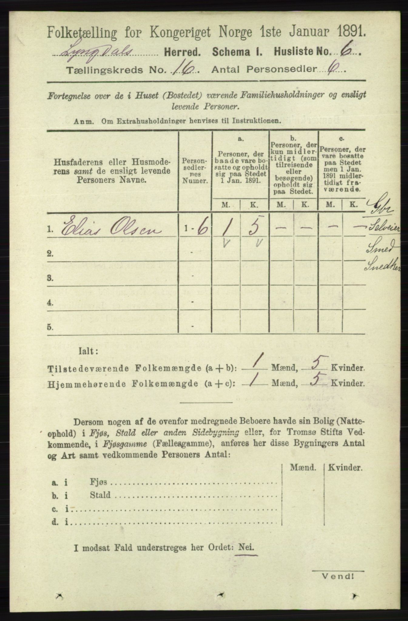 RA, 1891 census for 1032 Lyngdal, 1891, p. 6218