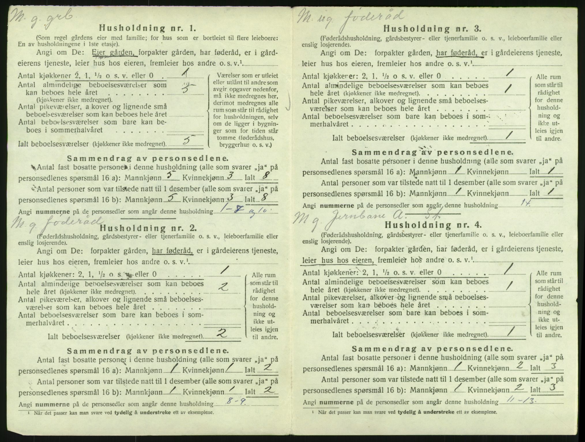 SAH, 1920 census for Lesja, 1920, p. 41