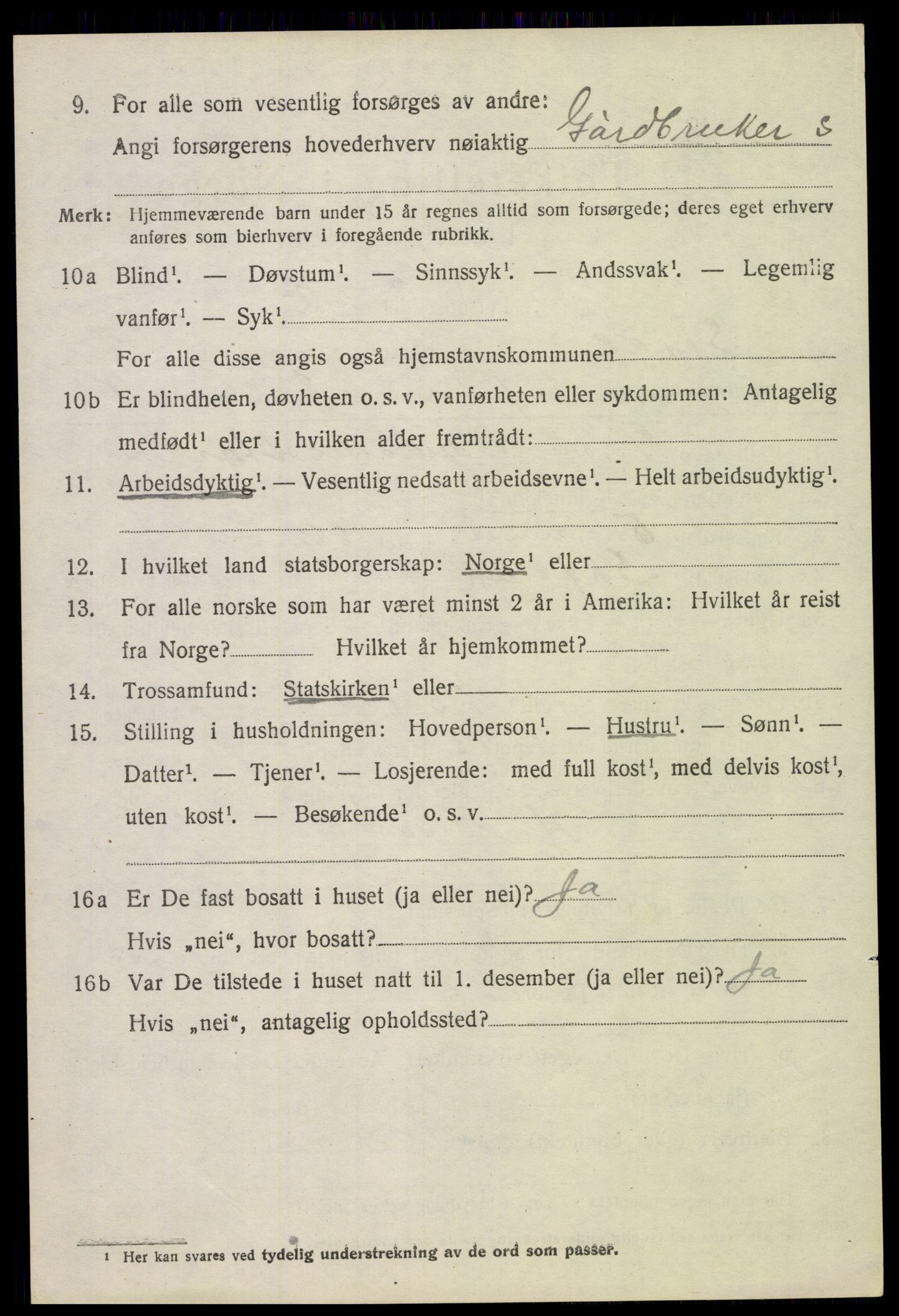 SAH, 1920 census for Skjåk, 1920, p. 3387