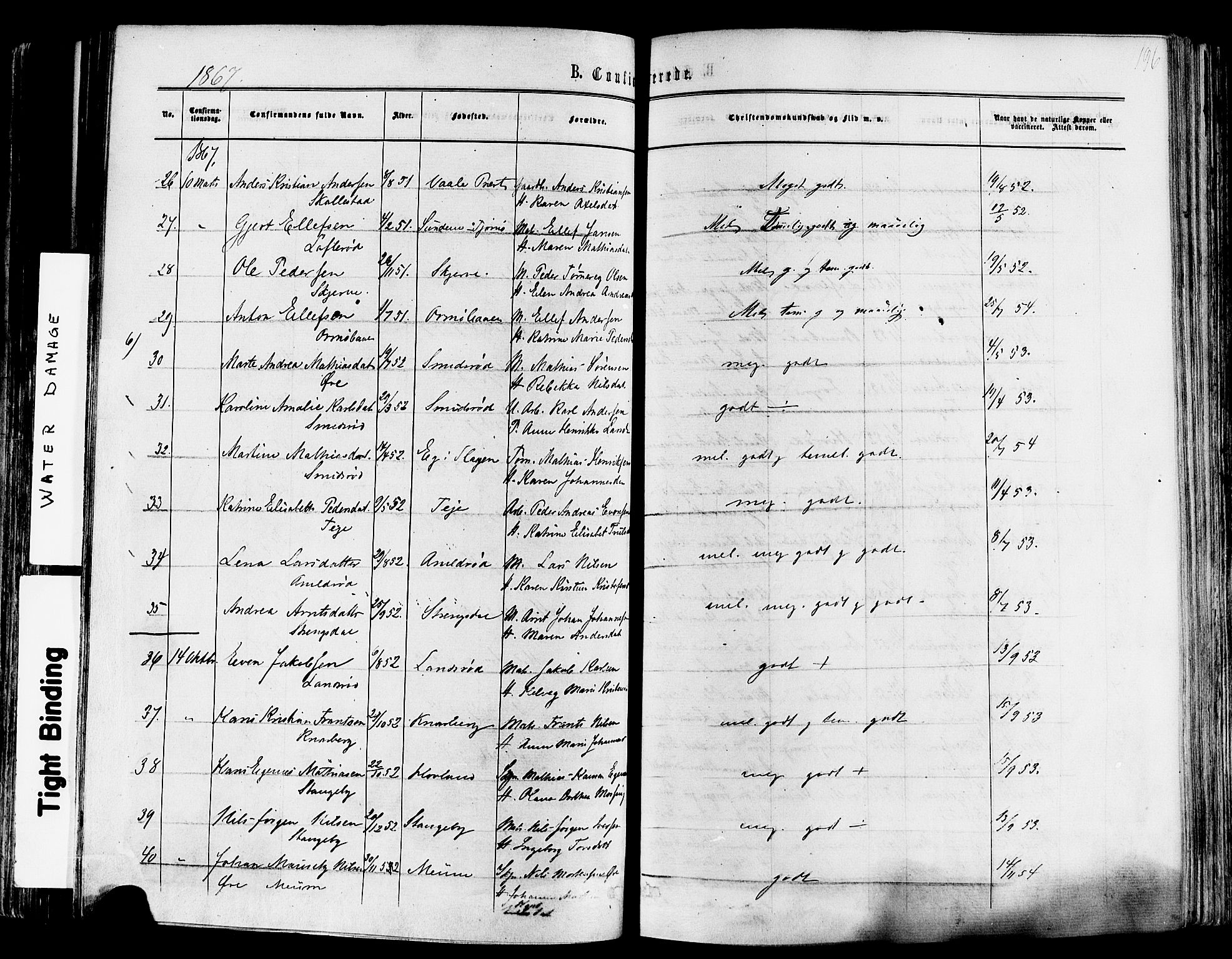 Nøtterøy kirkebøker, AV/SAKO-A-354/F/Fa/L0007: Parish register (official) no. I 7, 1865-1877, p. 196