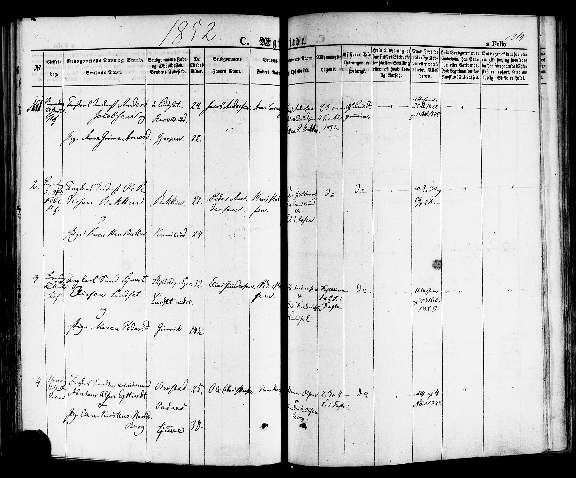 Hof kirkebøker, AV/SAKO-A-64/F/Fa/L0006: Parish register (official) no. I 6, 1851-1877, p. 319