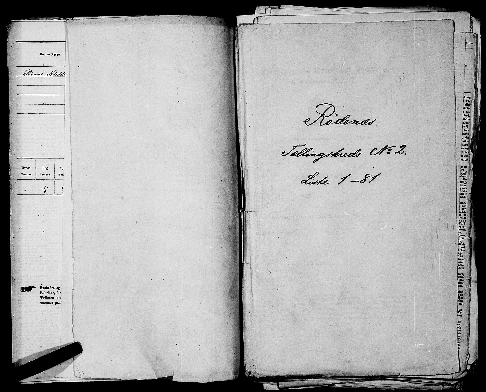 RA, 1875 census for 0120P Rødenes, 1875, p. 187