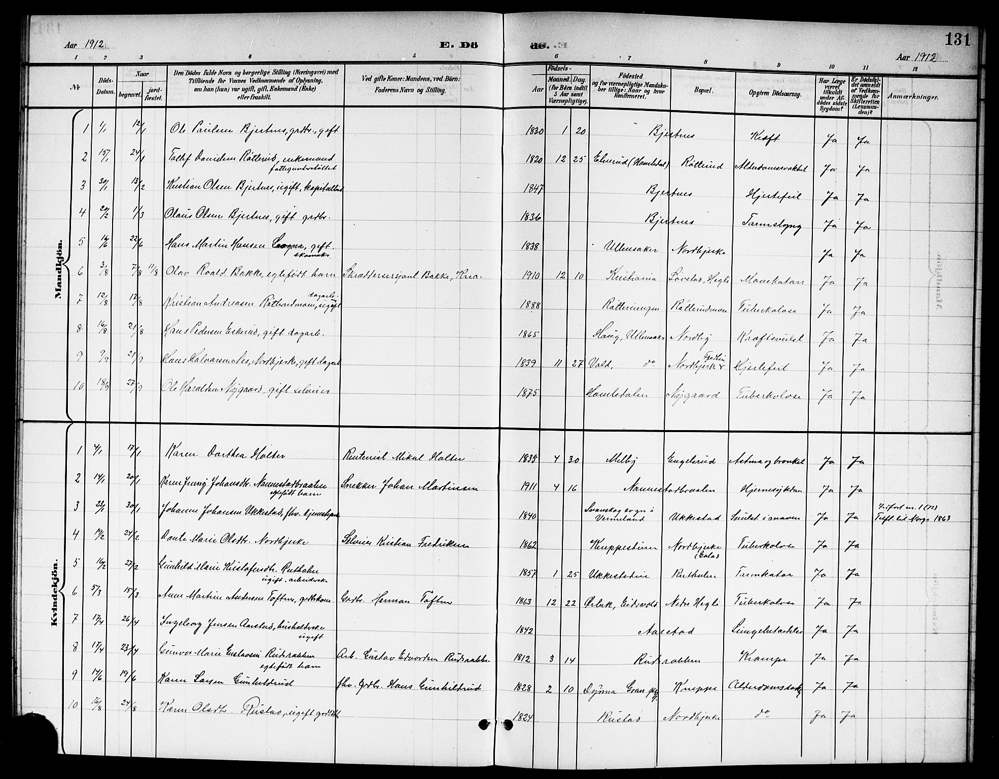 Nannestad prestekontor Kirkebøker, SAO/A-10414a/G/Ga/L0002: Parish register (copy) no. I 2, 1901-1913, p. 131