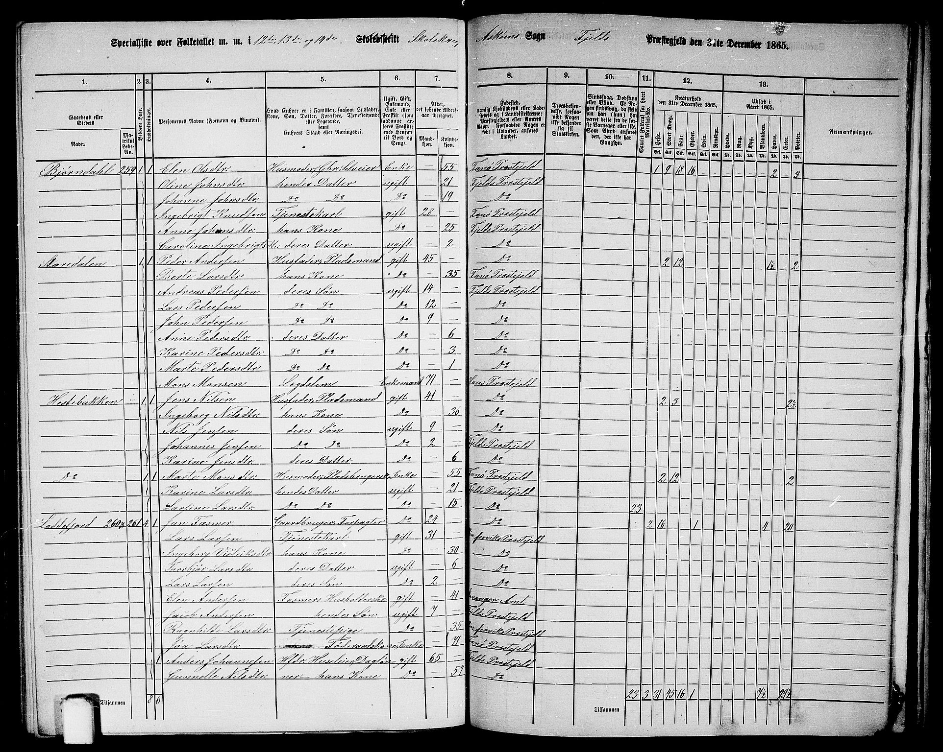 RA, 1865 census for Fjell, 1865, p. 245