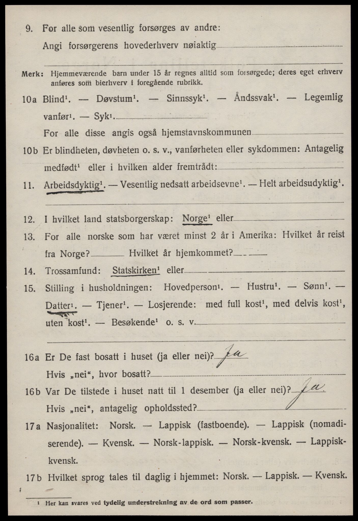 SAT, 1920 census for Selbu, 1920, p. 2053