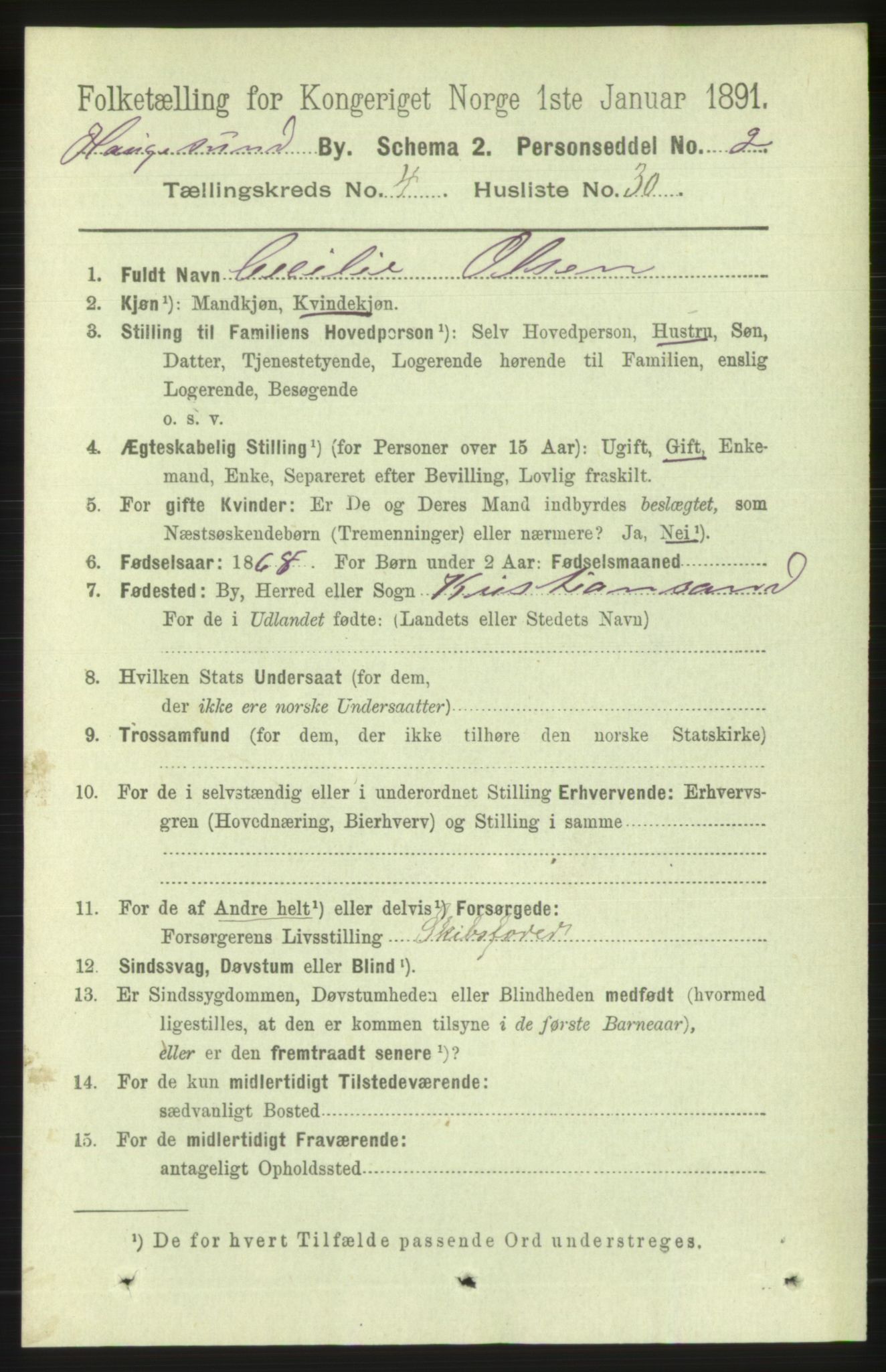 RA, 1891 census for 1106 Haugesund, 1891, p. 1599