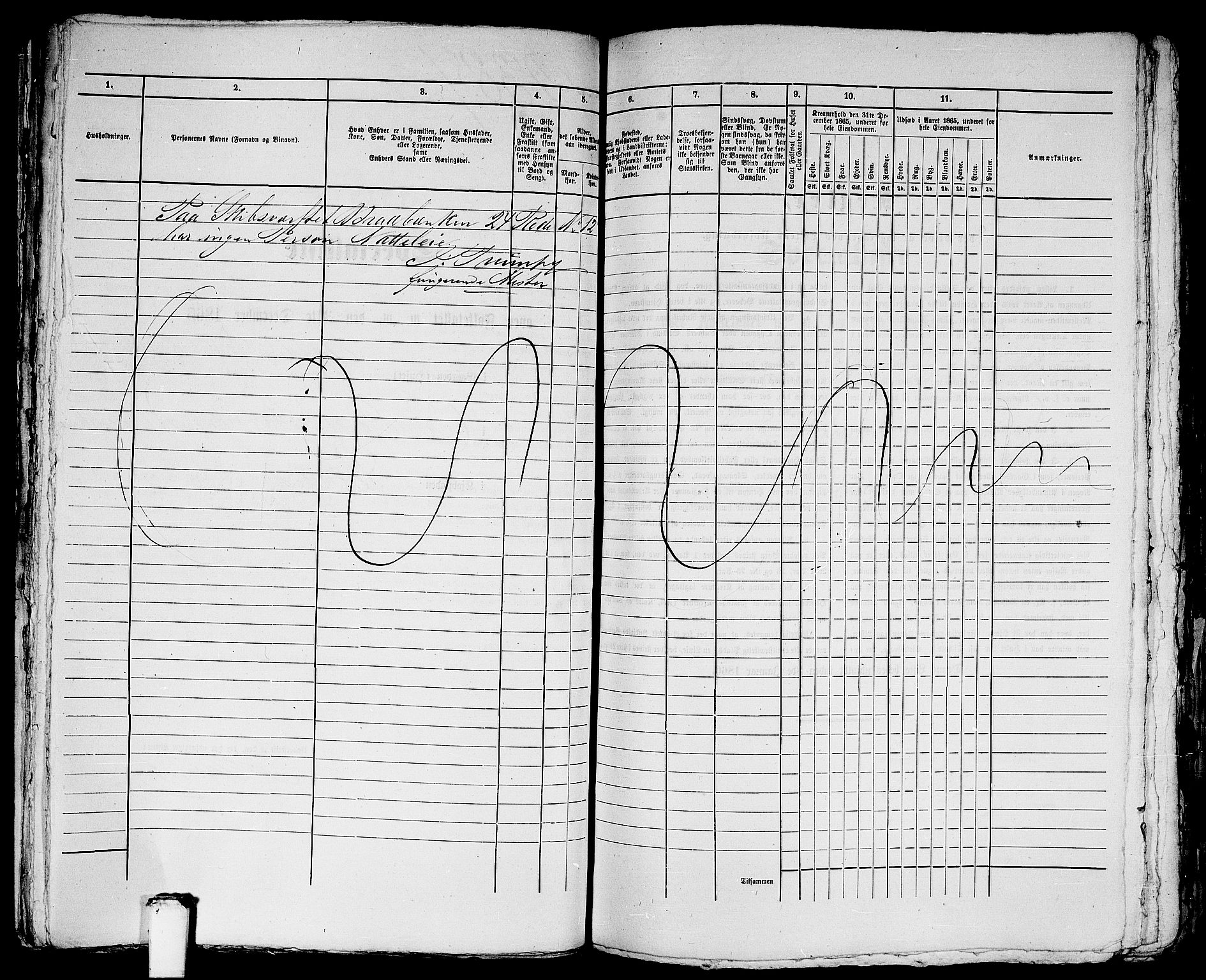 RA, 1865 census for Bergen, 1865, p. 4878