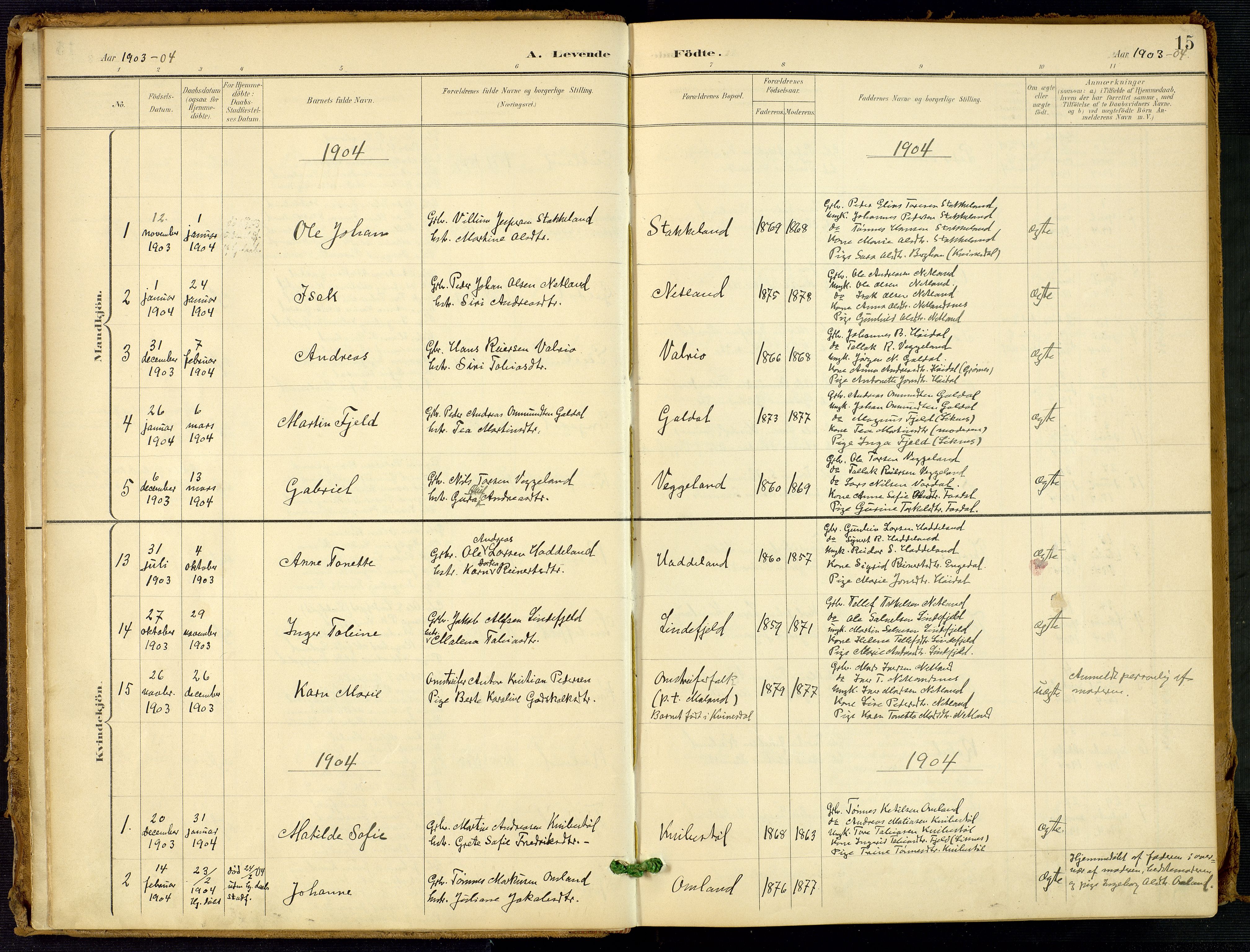 Fjotland sokneprestkontor, SAK/1111-0010/F/Fa/L0003: Parish register (official) no. A 3, 1899-1917, p. 15