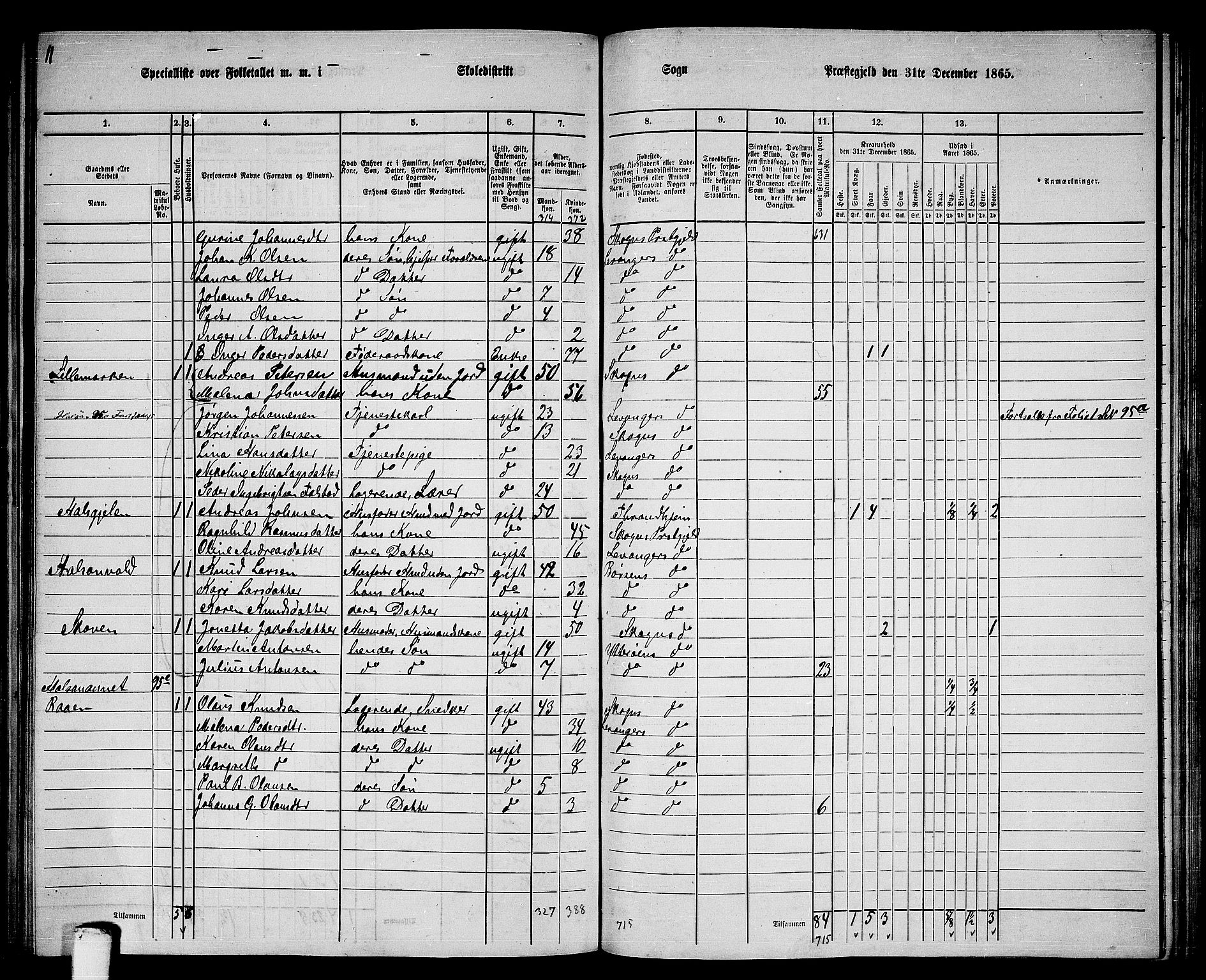 RA, 1865 census for Levanger/Levanger, 1865, p. 50