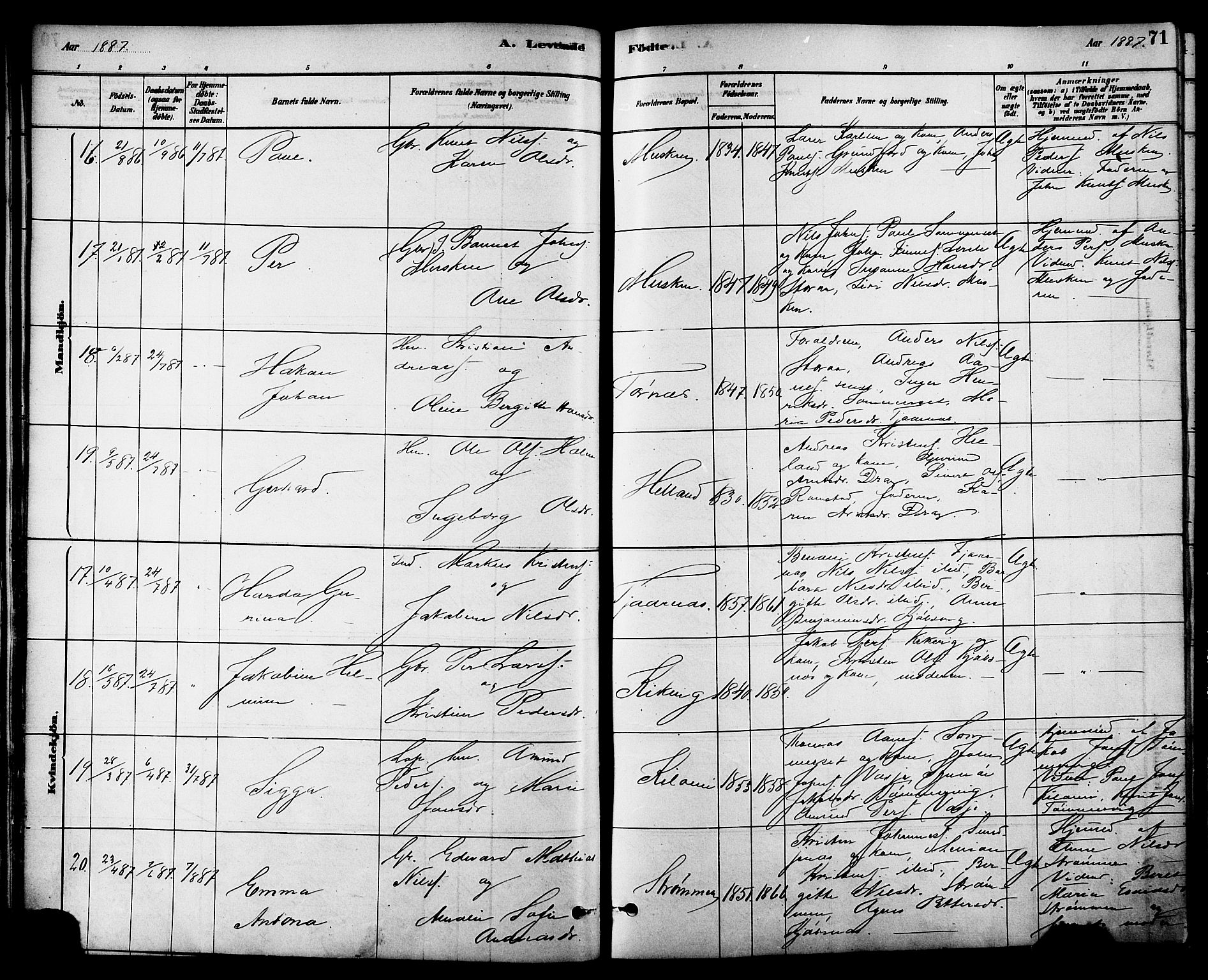 Ministerialprotokoller, klokkerbøker og fødselsregistre - Nordland, AV/SAT-A-1459/861/L0868: Parish register (official) no. 861A03, 1879-1889, p. 71