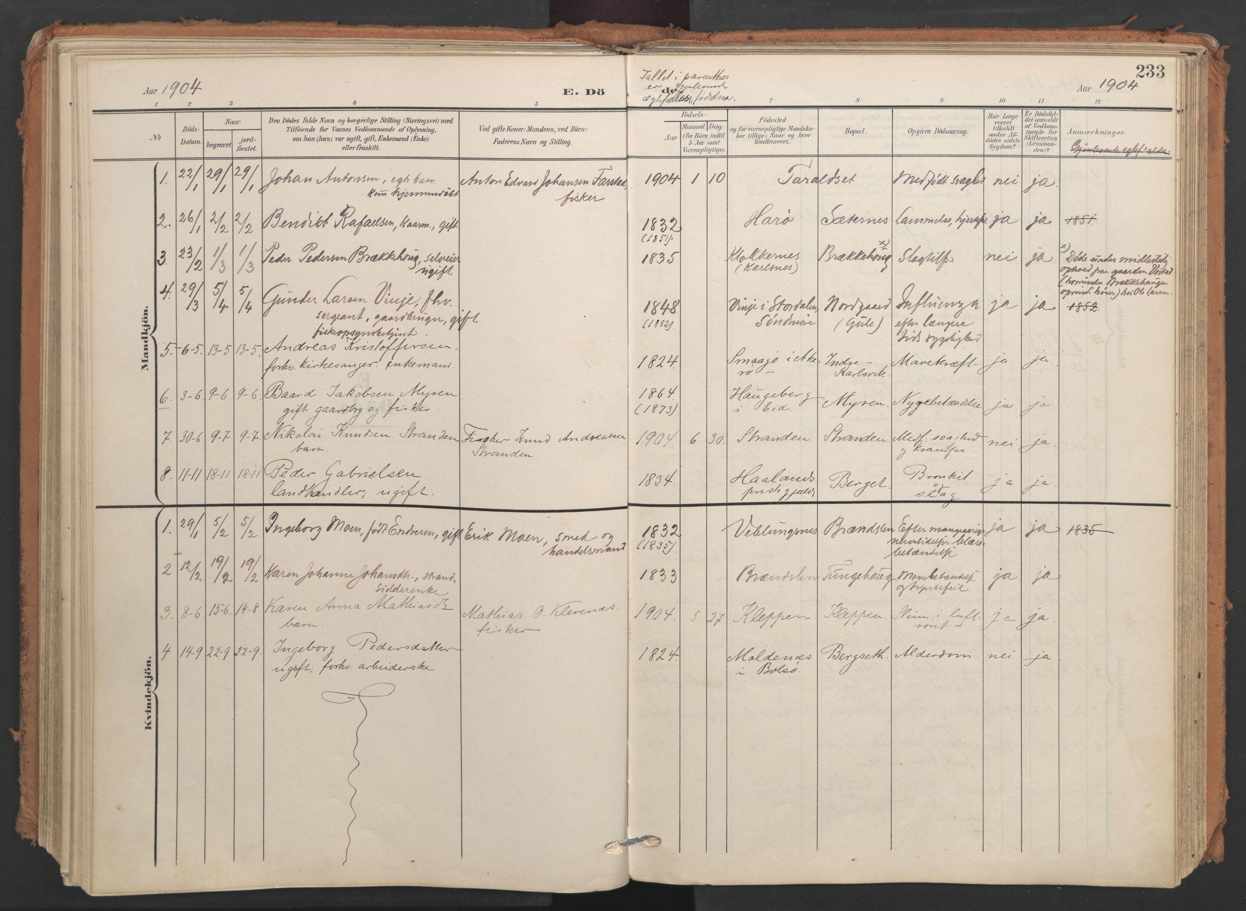 Ministerialprotokoller, klokkerbøker og fødselsregistre - Møre og Romsdal, AV/SAT-A-1454/566/L0771: Parish register (official) no. 566A10, 1904-1929, p. 233