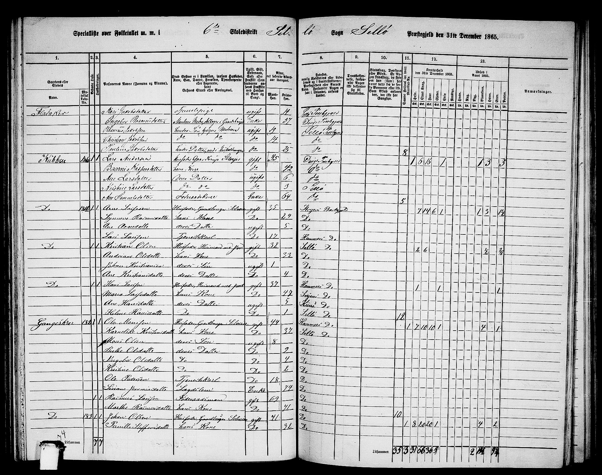 RA, 1865 census for Selje, 1865, p. 99