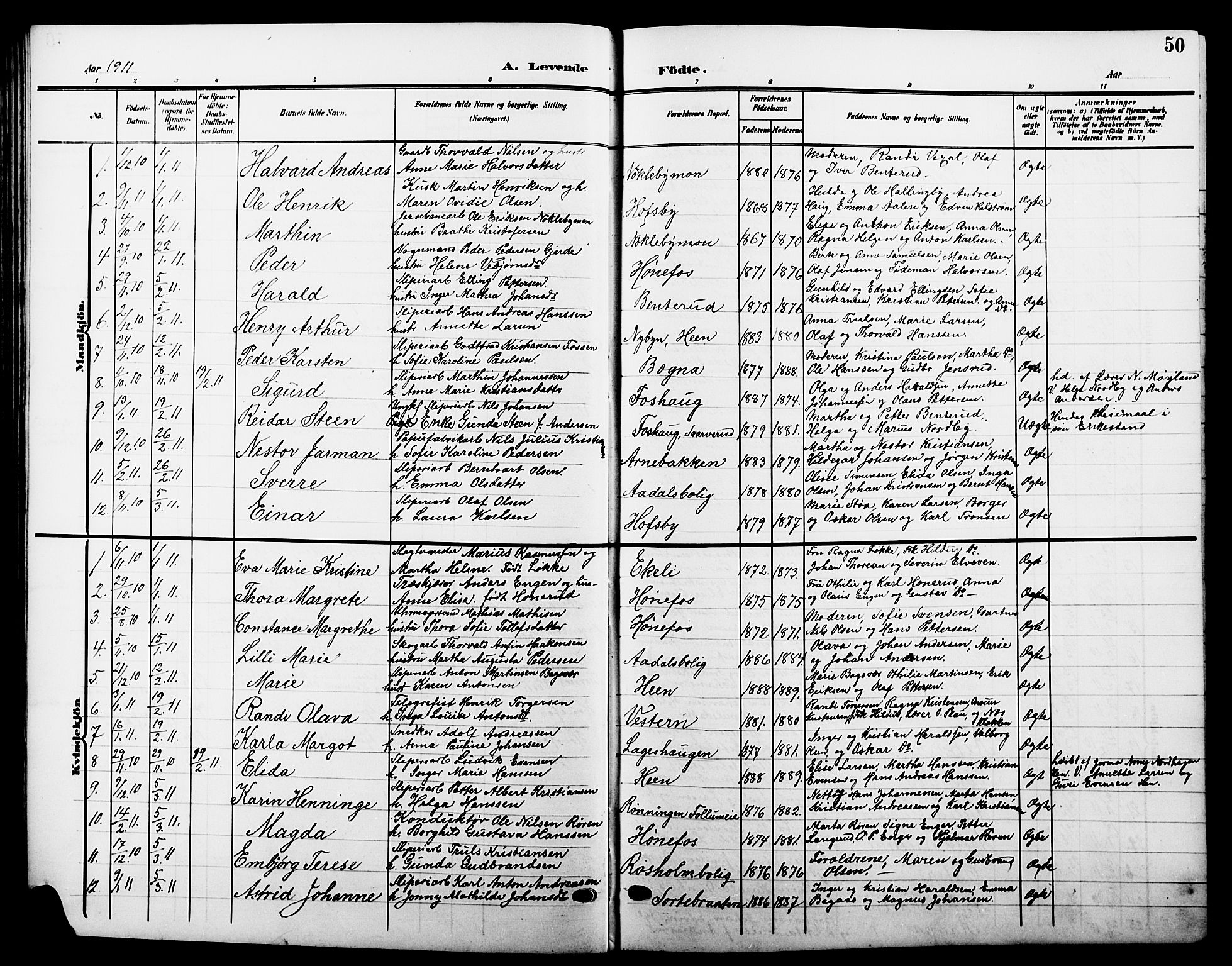 Hønefoss kirkebøker, AV/SAKO-A-609/G/Ga/L0003: Parish register (copy) no. 3, 1905-1925, p. 50