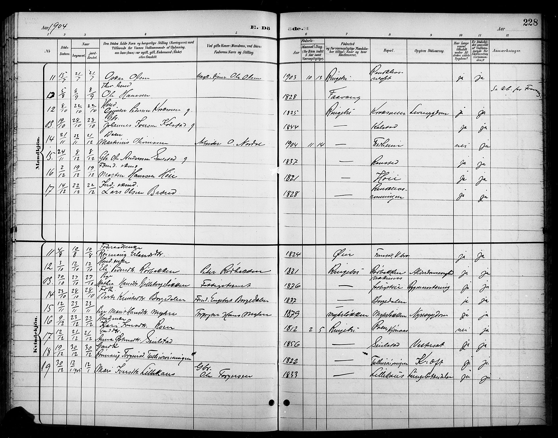 Ringebu prestekontor, AV/SAH-PREST-082/H/Ha/Hab/L0009: Parish register (copy) no. 9, 1899-1921, p. 228