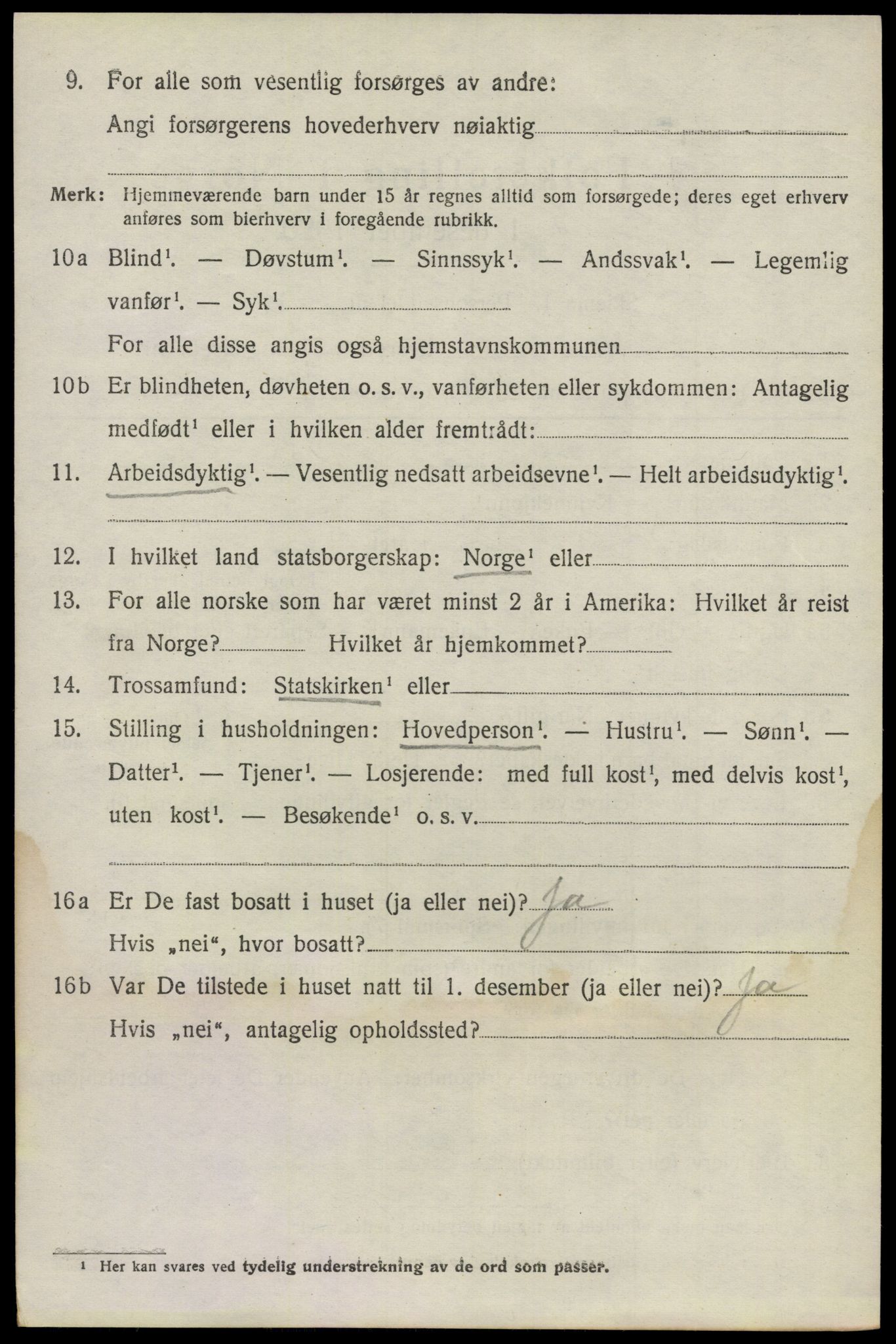 SAO, 1920 census for Nes, 1920, p. 7843