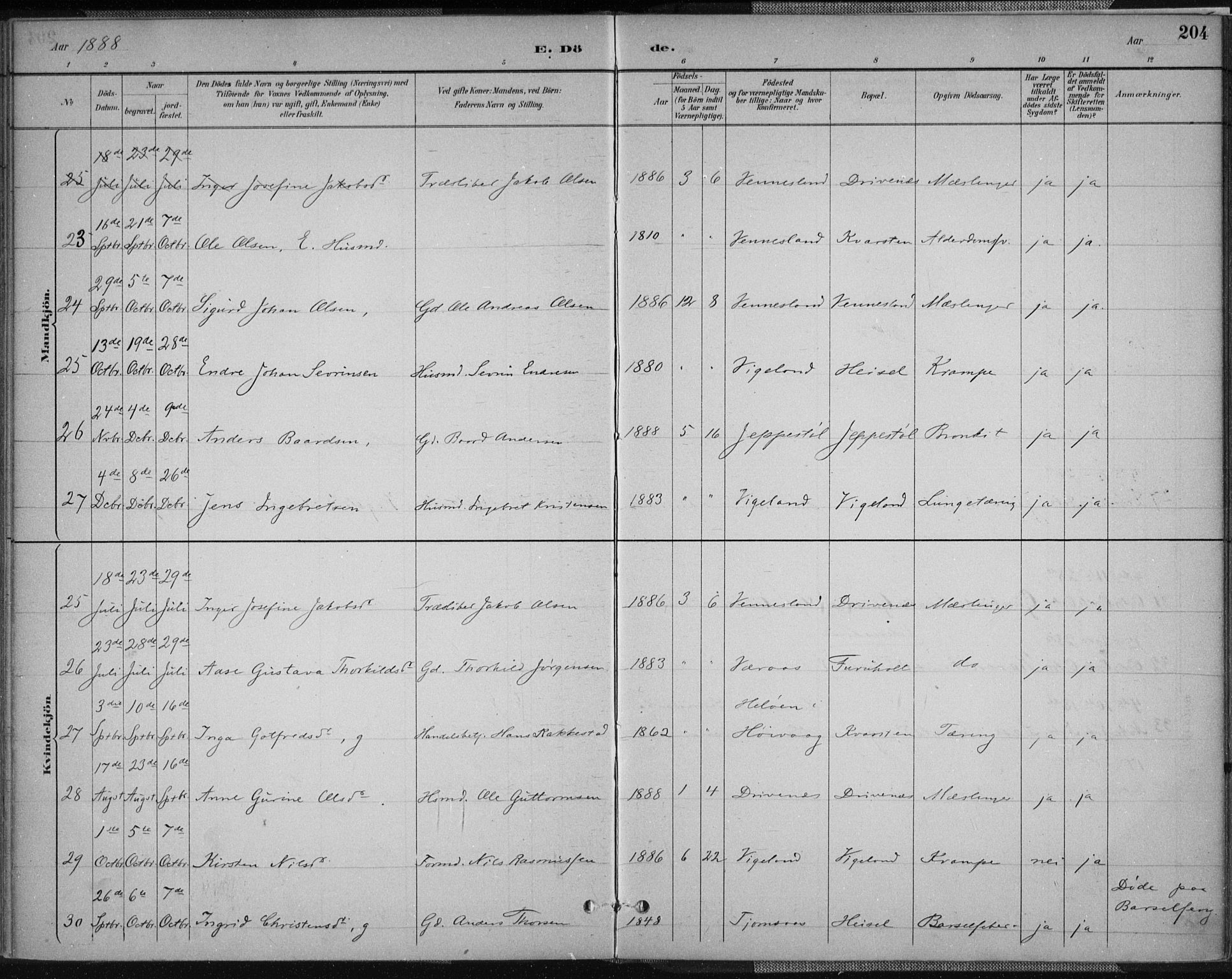 Vennesla sokneprestkontor, AV/SAK-1111-0045/Fa/Fab/L0004: Parish register (official) no. A 4, 1884-1896, p. 204