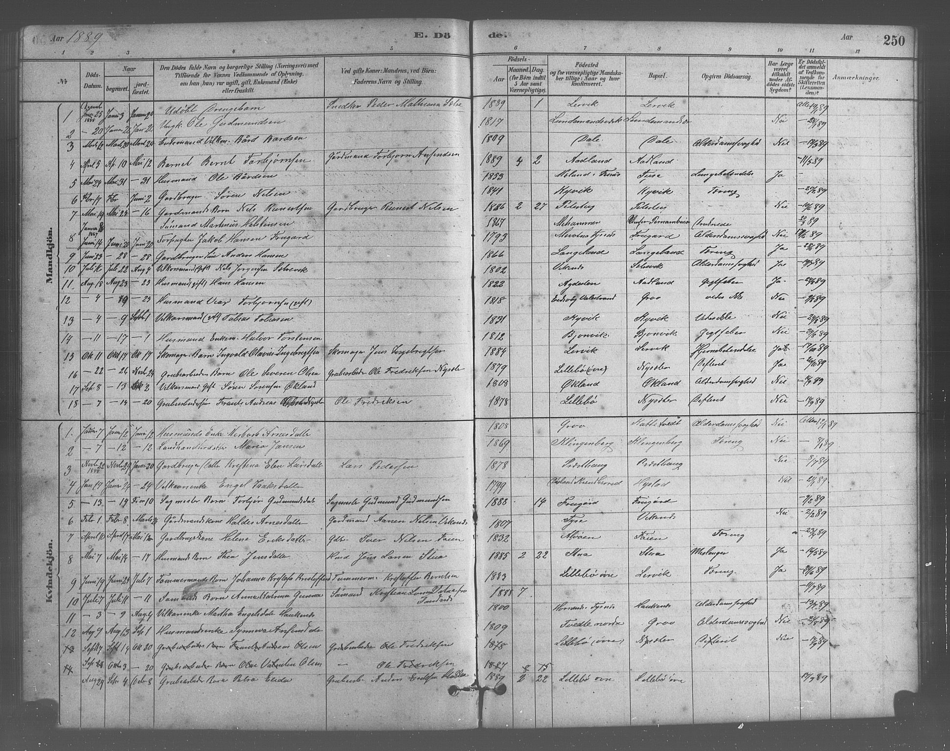 Stord sokneprestembete, SAB/A-78201/H/Hab: Parish register (copy) no. A 2, 1879-1909, p. 250