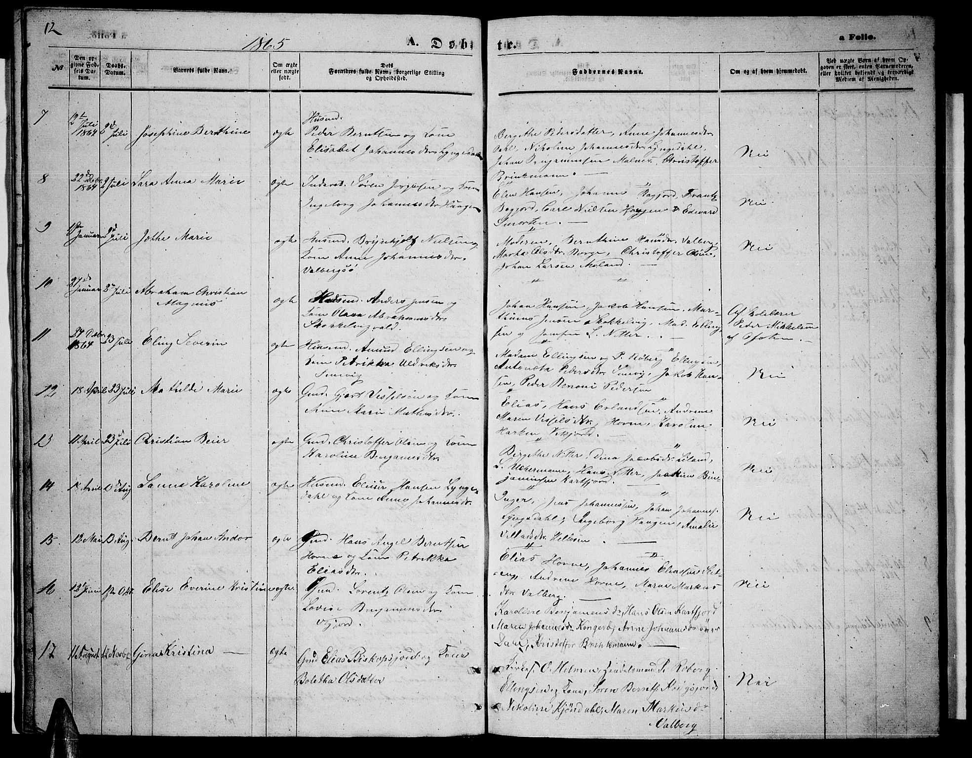 Ministerialprotokoller, klokkerbøker og fødselsregistre - Nordland, AV/SAT-A-1459/884/L1196: Parish register (copy) no. 884C02, 1860-1887, p. 12