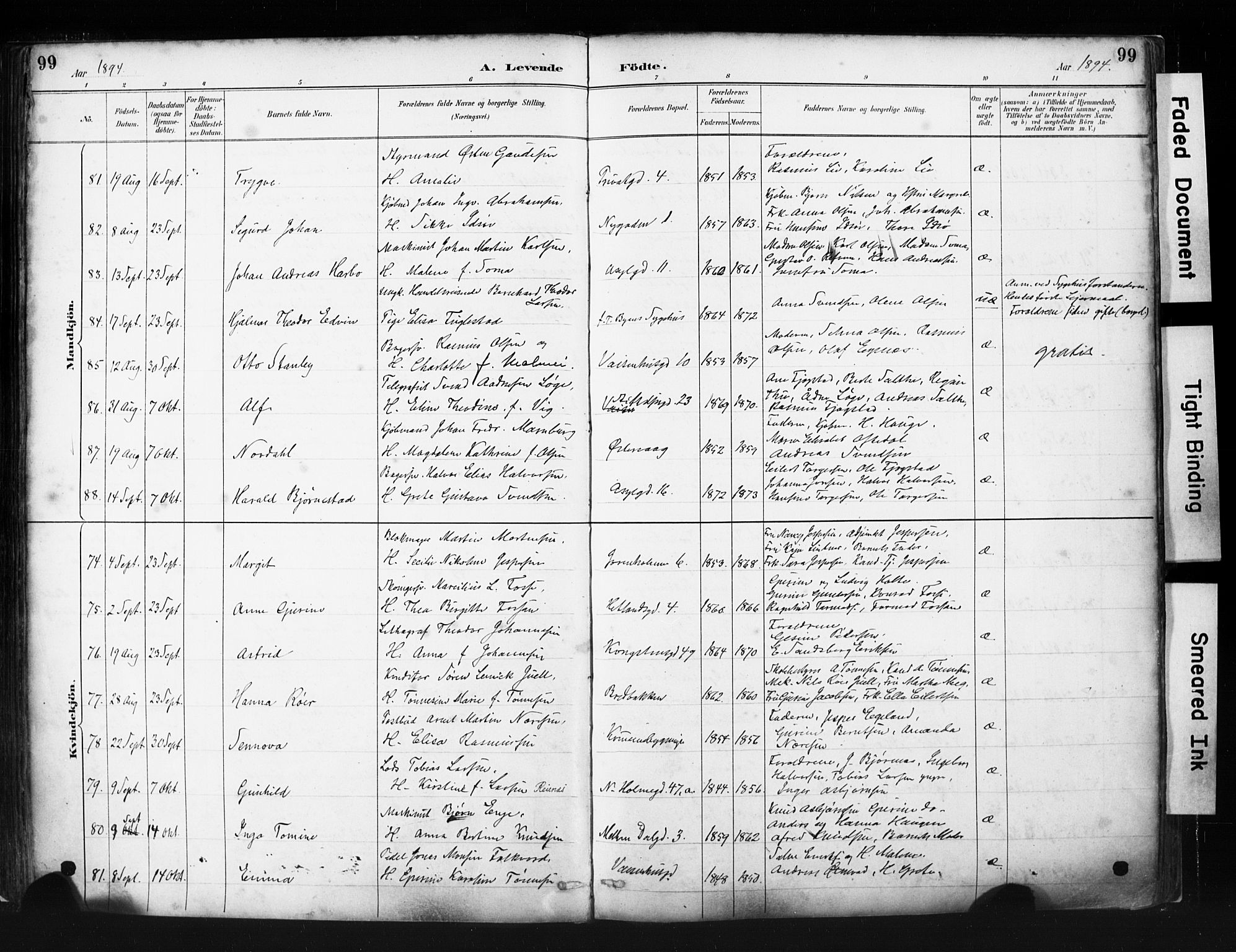 St. Petri sokneprestkontor, AV/SAST-A-101813/001/30/30BA/L0019: Parish register (official) no. A 20, 1888-1901, p. 99