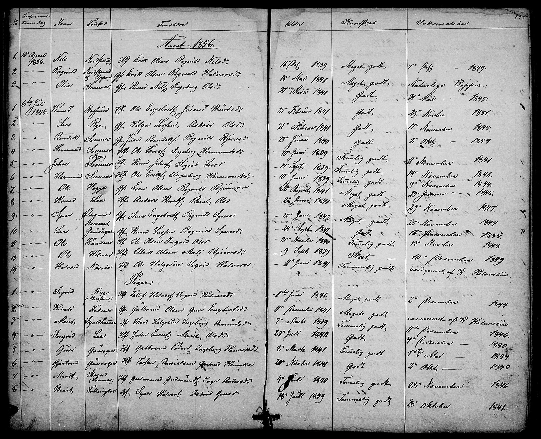 Nord-Aurdal prestekontor, SAH/PREST-132/H/Ha/Hab/L0003: Parish register (copy) no. 3, 1842-1882, p. 133