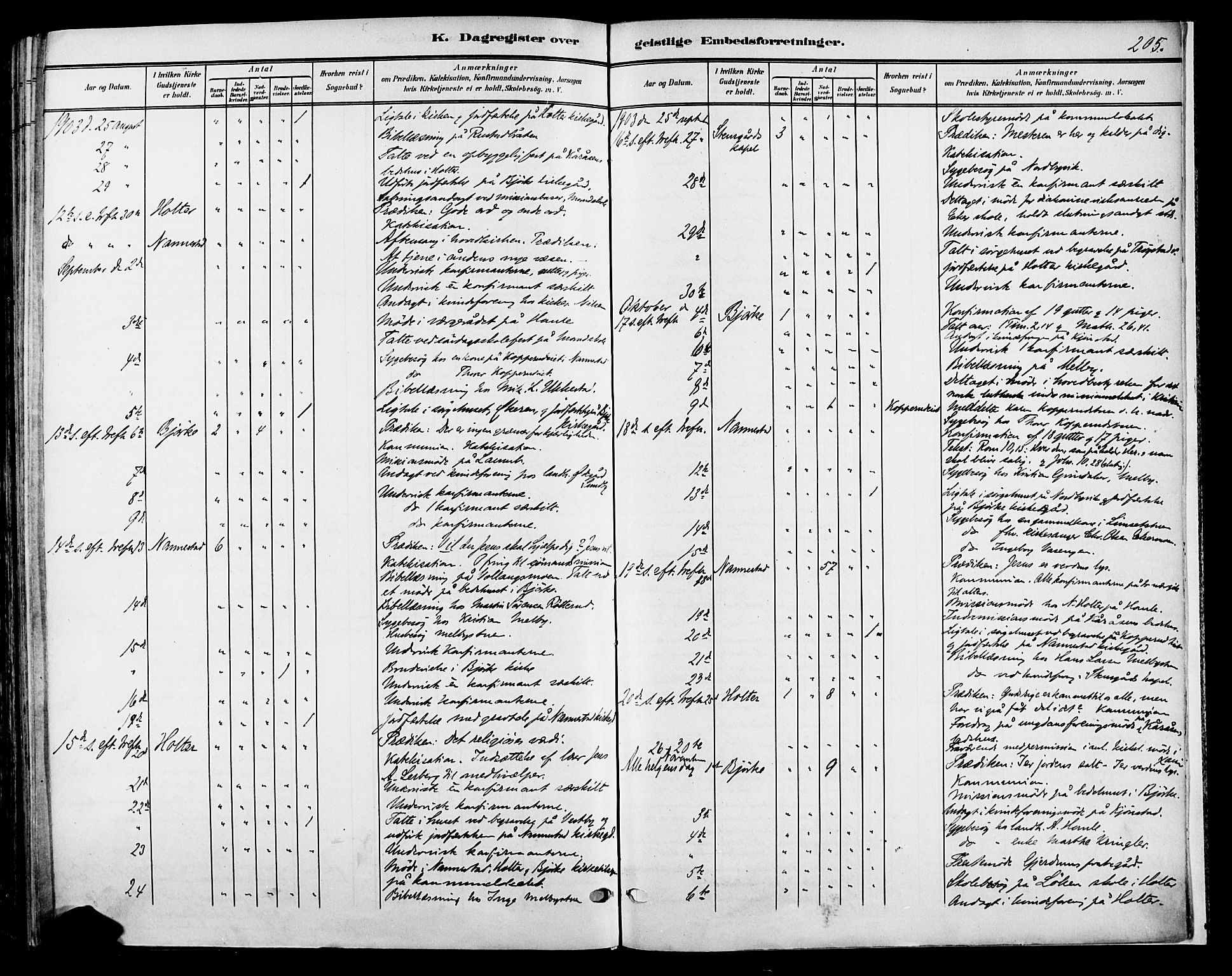 Nannestad prestekontor Kirkebøker, AV/SAO-A-10414a/F/Fa/L0015: Parish register (official) no. I 15, 1891-1905, p. 205