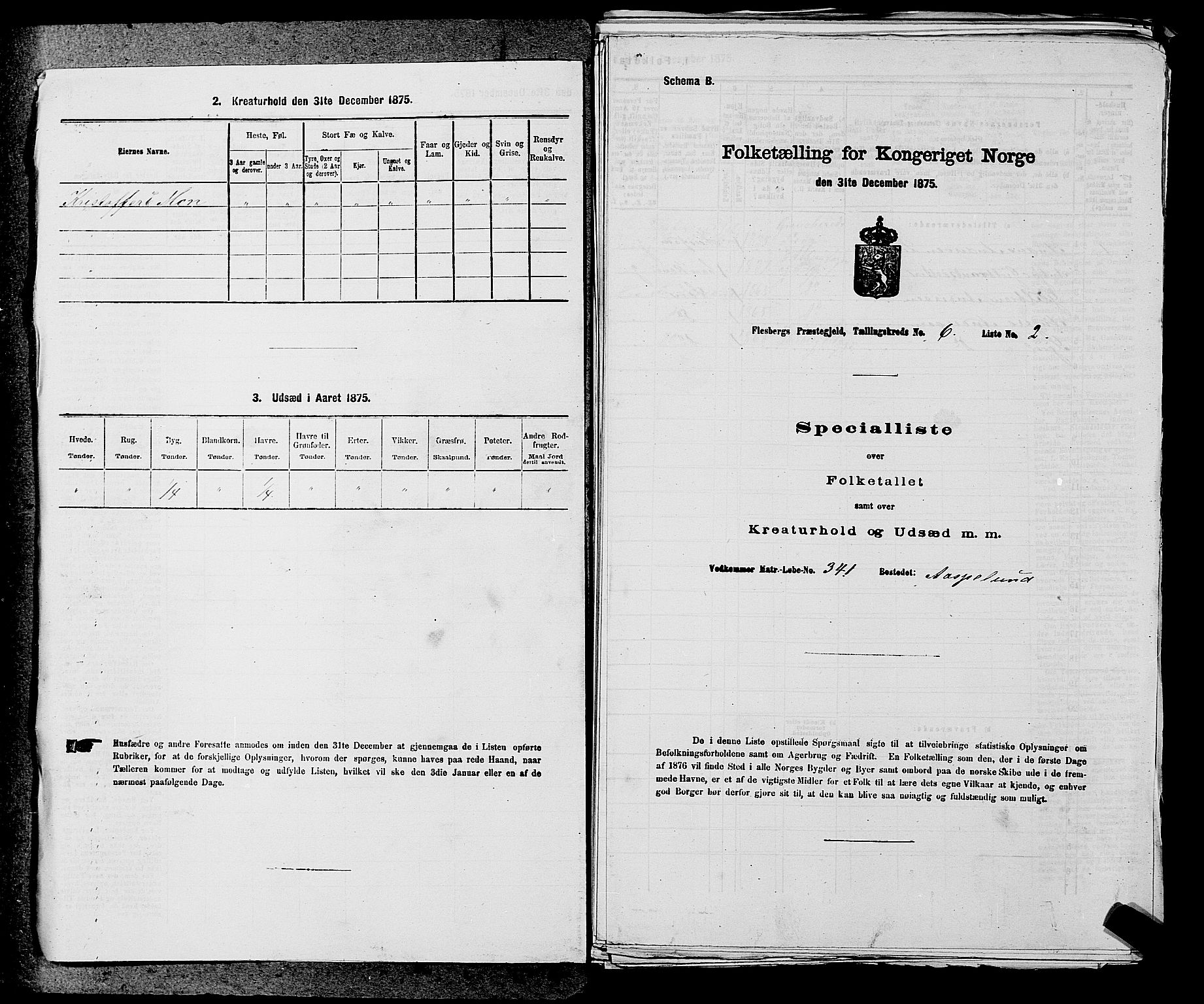 SAKO, 1875 census for 0631P Flesberg, 1875, p. 1085