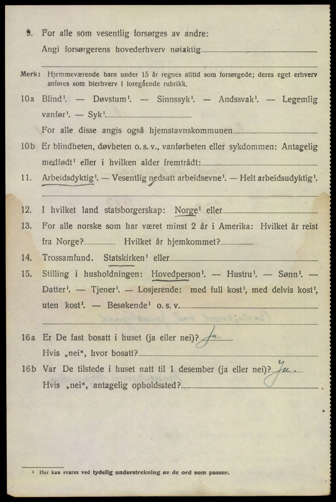 SAKO, 1920 census for Holla, 1920, p. 2594