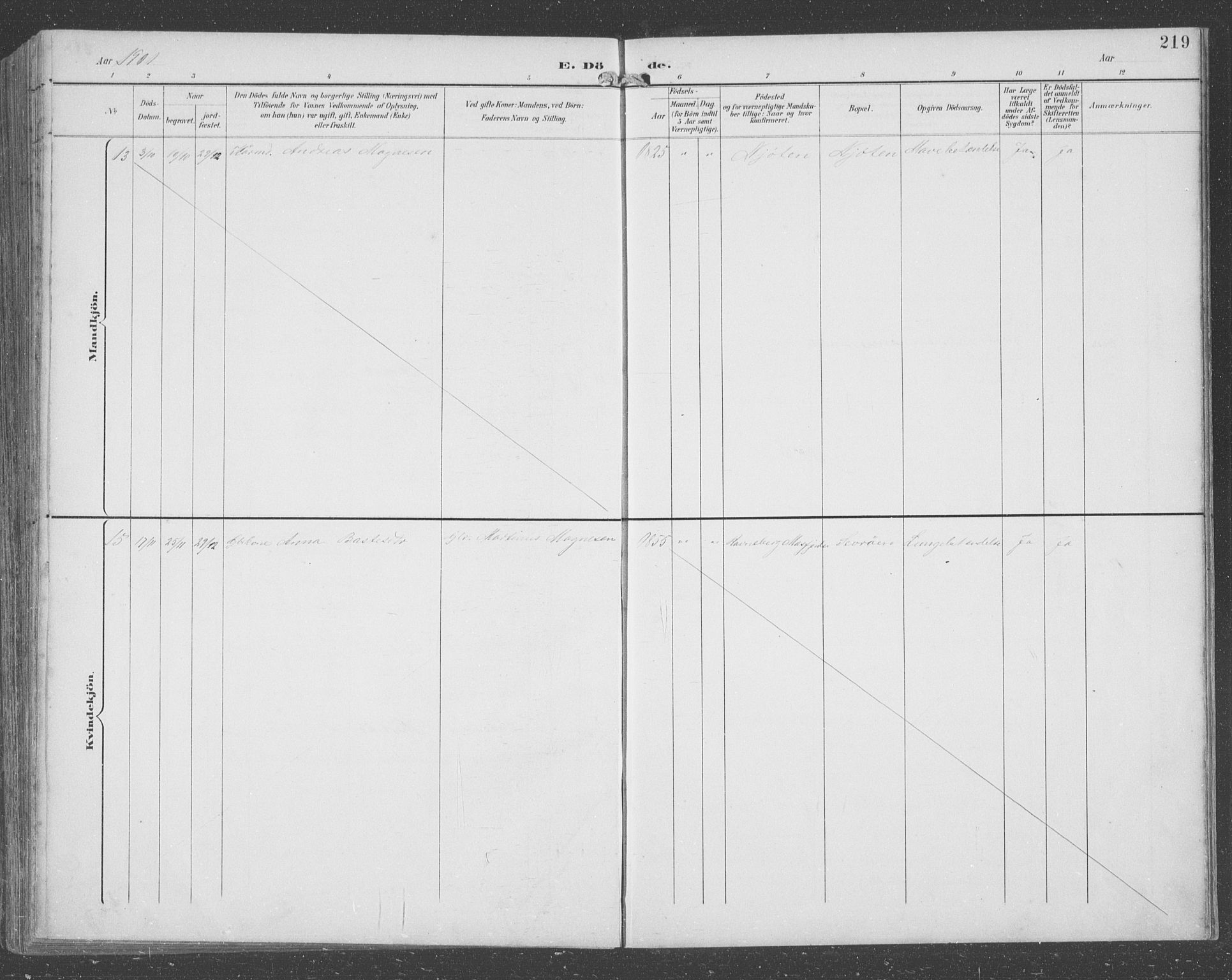 Lindås Sokneprestembete, SAB/A-76701/H/Hab: Parish register (copy) no. C 4, 1894-1910, p. 219