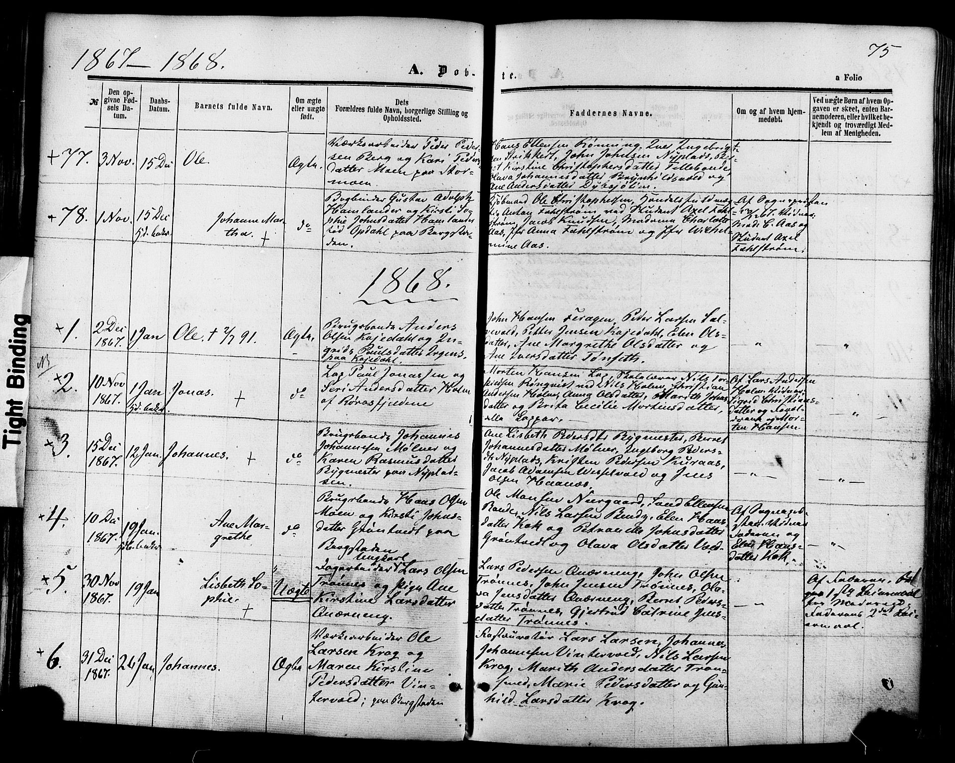 Ministerialprotokoller, klokkerbøker og fødselsregistre - Sør-Trøndelag, SAT/A-1456/681/L0932: Parish register (official) no. 681A10, 1860-1878, p. 75