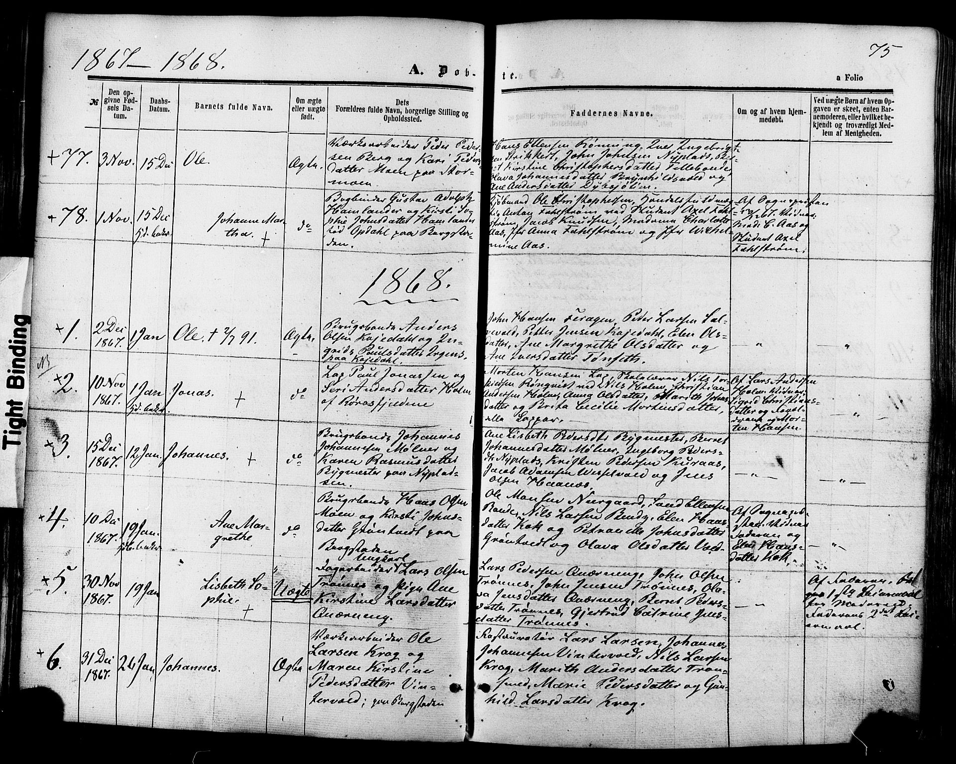 Ministerialprotokoller, klokkerbøker og fødselsregistre - Sør-Trøndelag, AV/SAT-A-1456/681/L0932: Parish register (official) no. 681A10, 1860-1878, p. 75