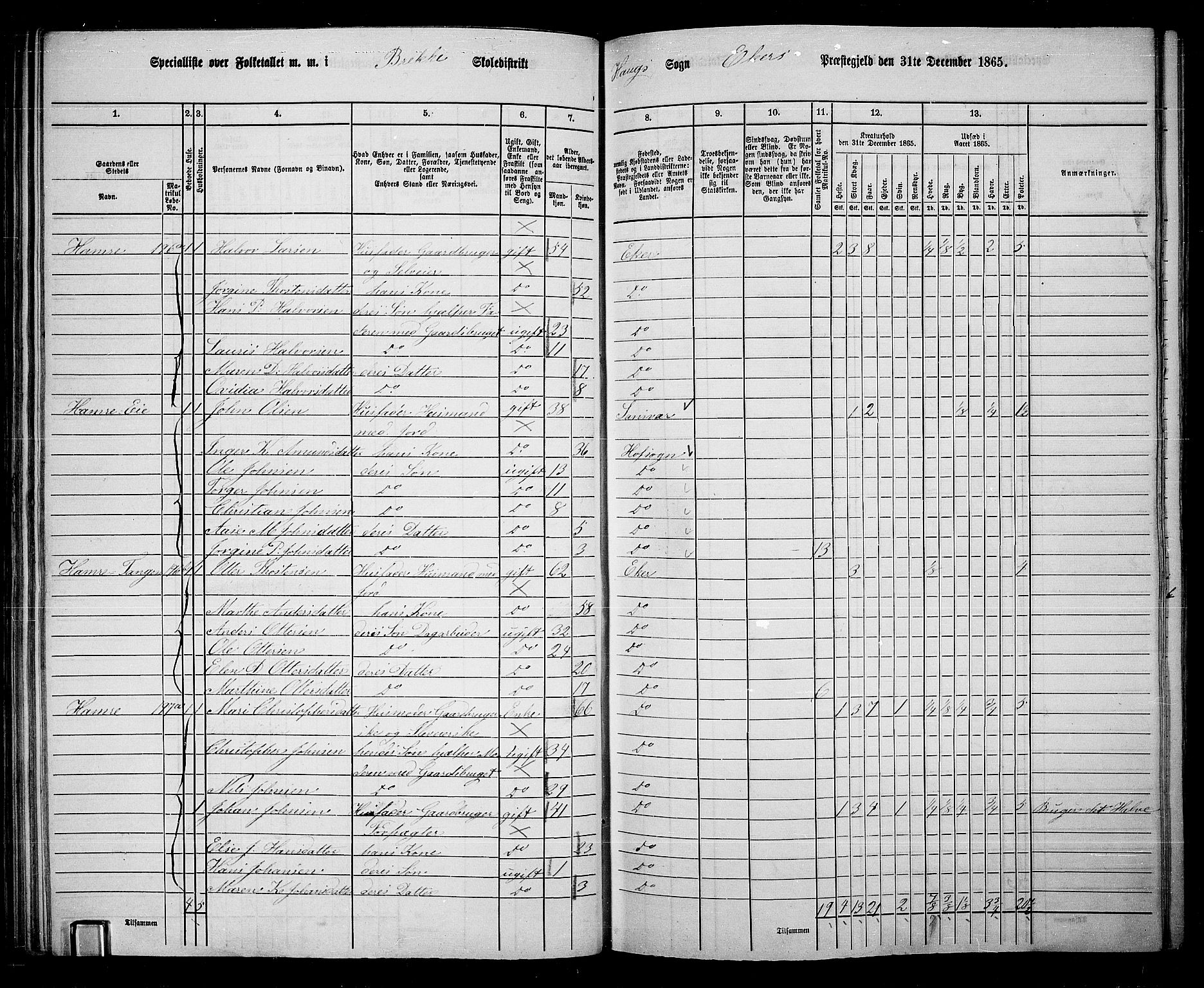 RA, 1865 census for Eiker, 1865, p. 68