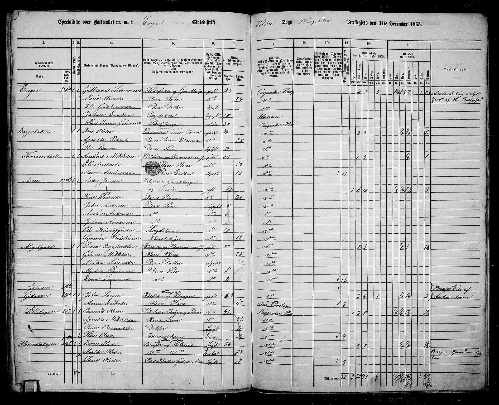 RA, 1865 census for Ringsaker, 1865, p. 231