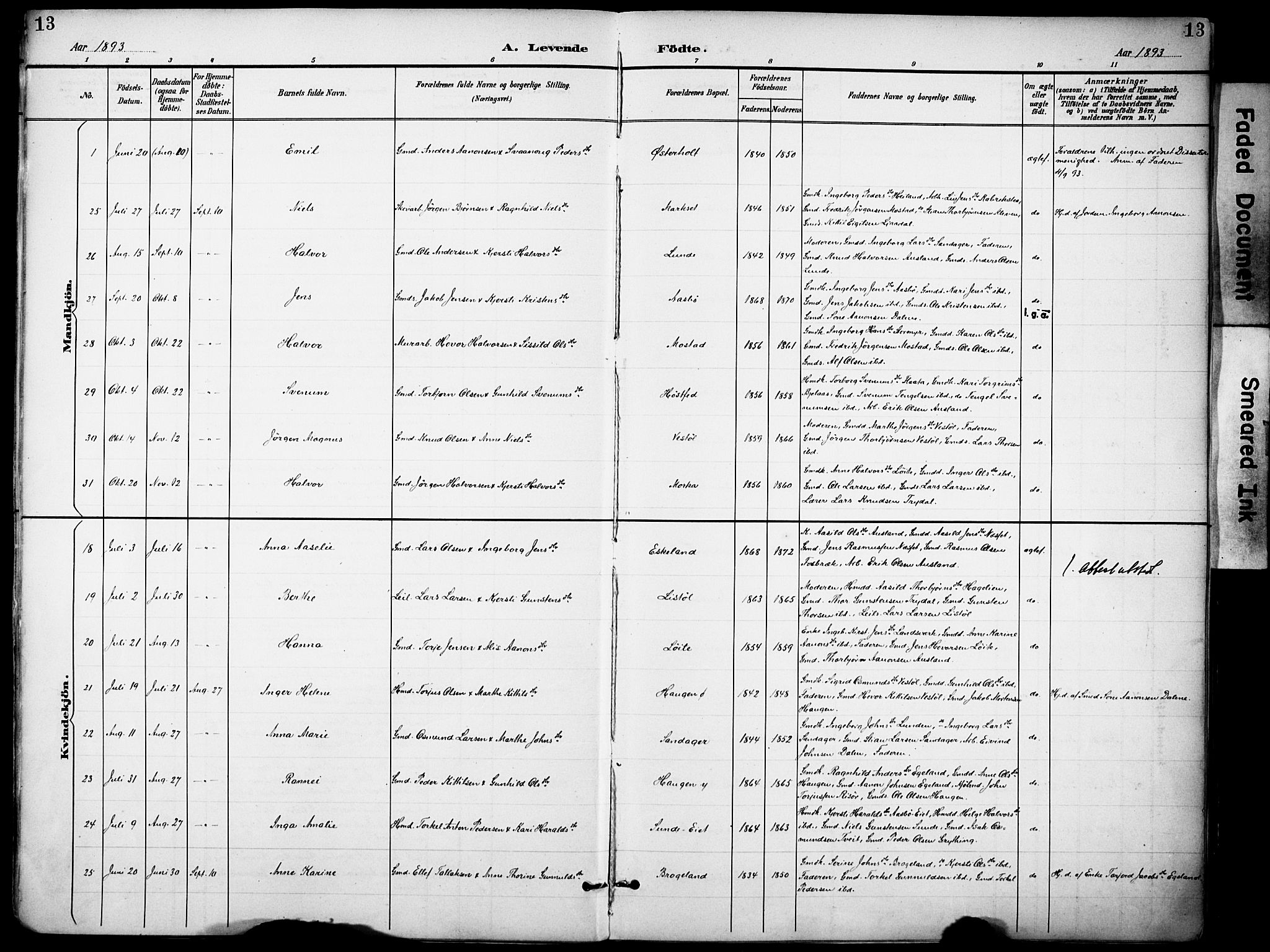 Gjerstad sokneprestkontor, SAK/1111-0014/F/Fa/Faa/L0010: Parish register (official) no. A 10, 1891-1902, p. 13
