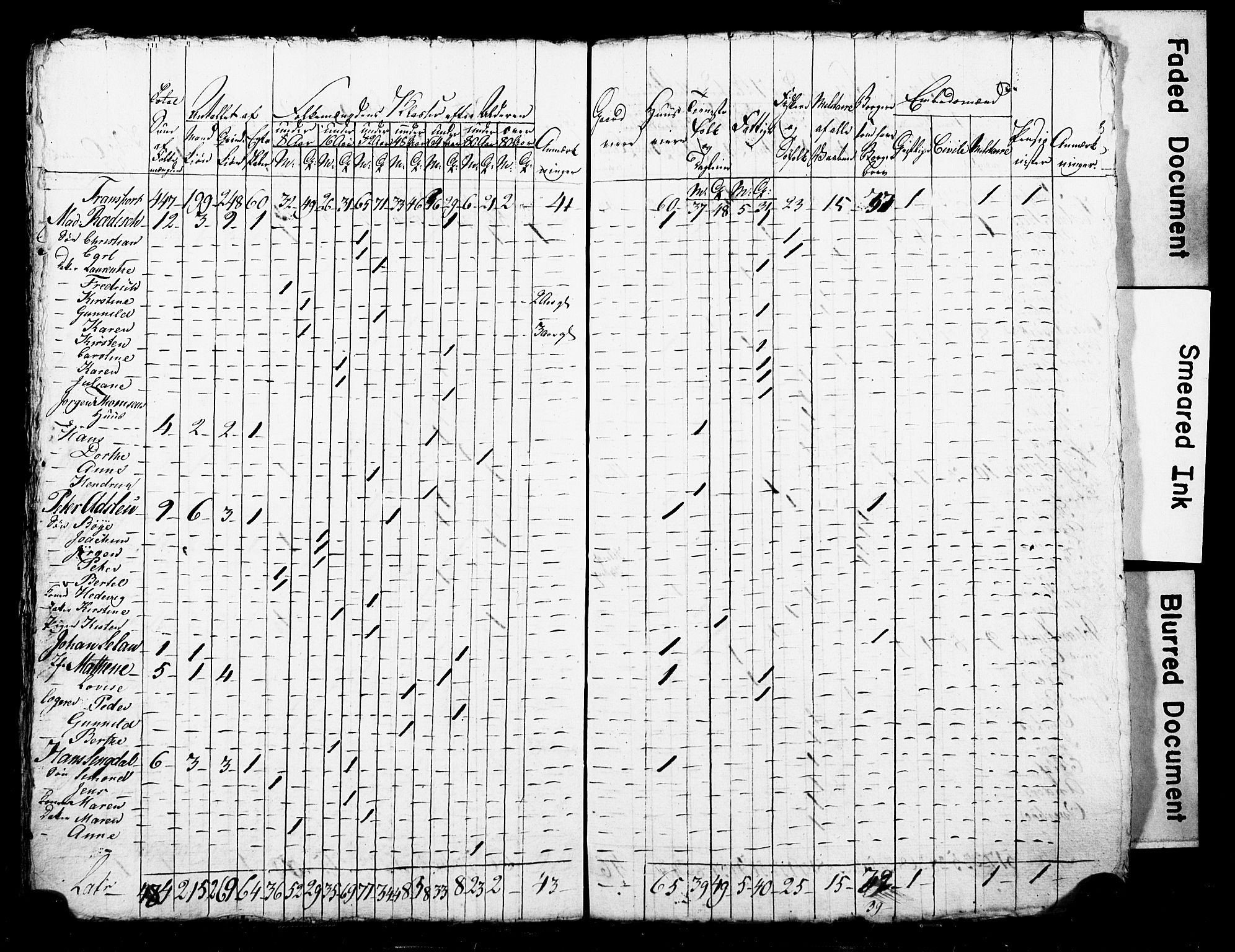 LOK, Census 1815 for Skien, 1815, p. 52