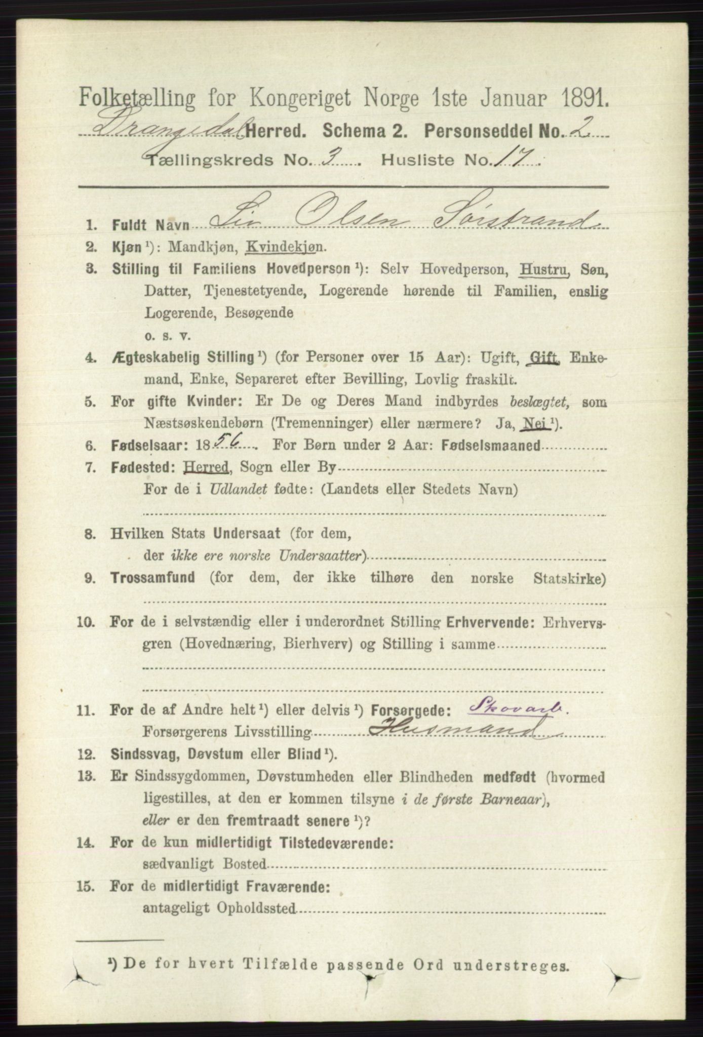 RA, 1891 census for 0817 Drangedal, 1891, p. 954