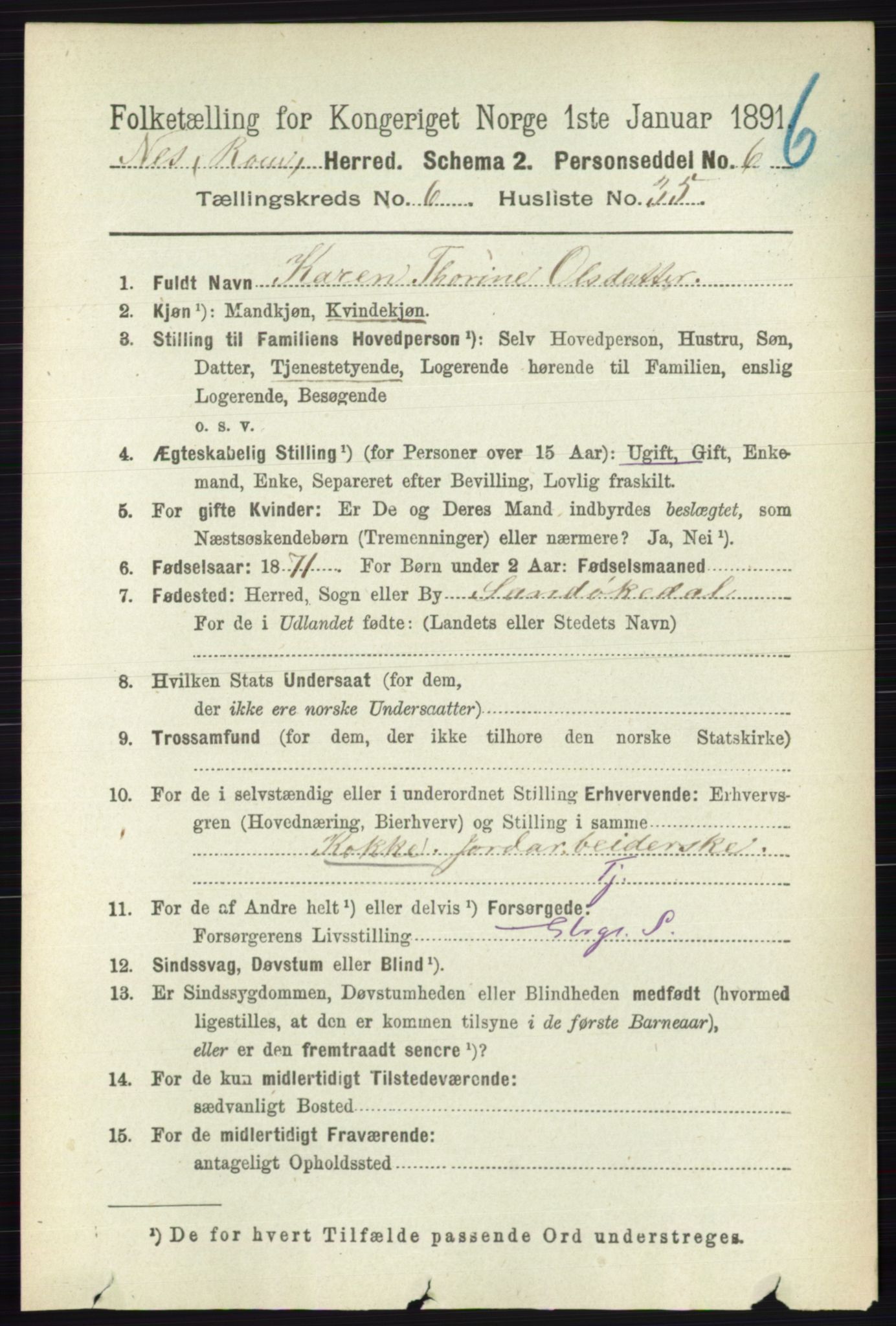 RA, 1891 census for 0236 Nes, 1891, p. 3608