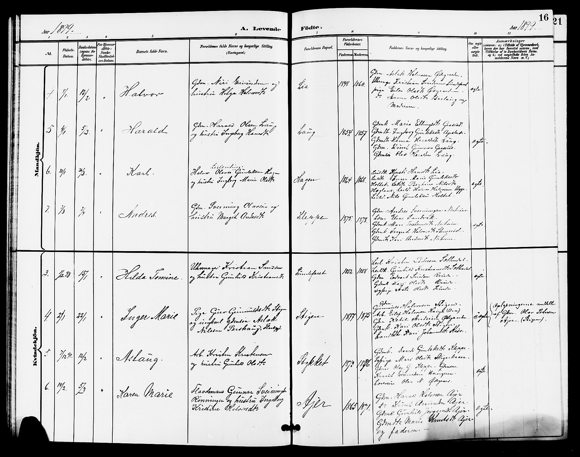 Lunde kirkebøker, AV/SAKO-A-282/G/Ga/L0003: Parish register (copy) no. I 3, 1896-1905, p. 16