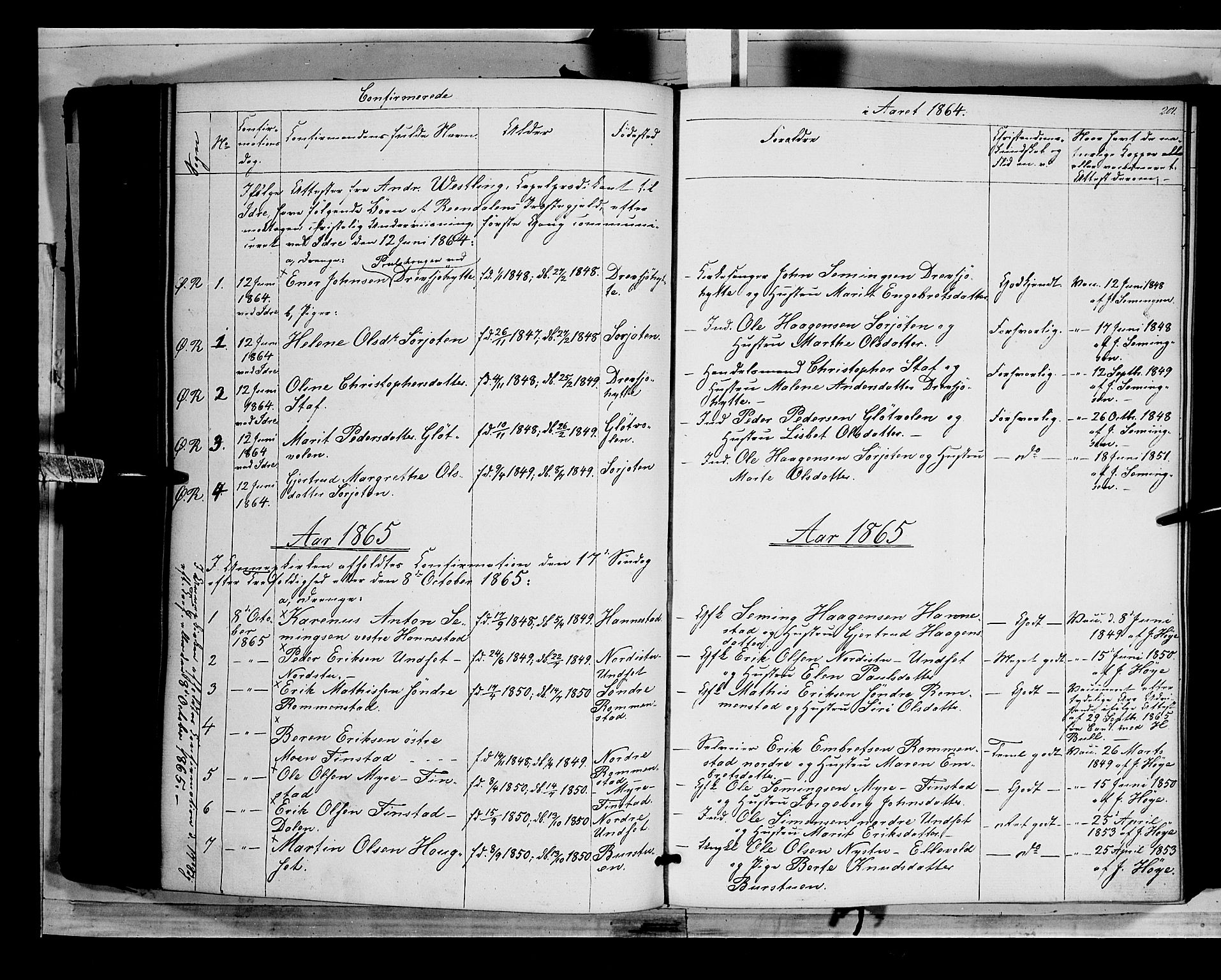 Rendalen prestekontor, SAH/PREST-054/H/Ha/Haa/L0005: Parish register (official) no. 5, 1853-1866, p. 201