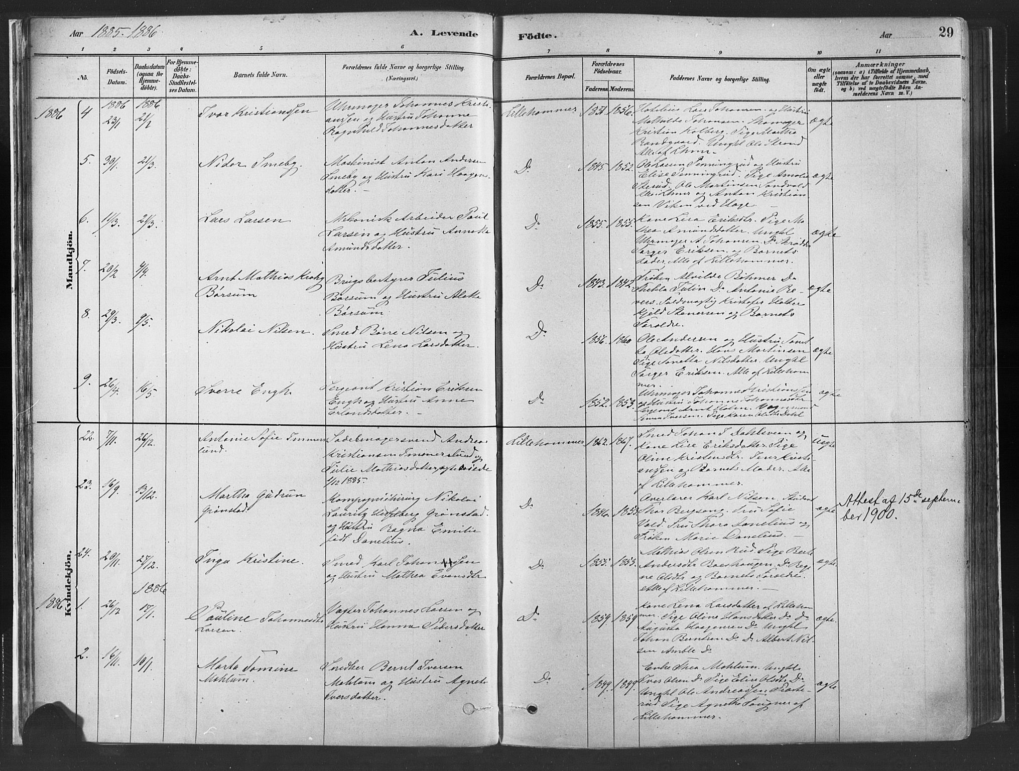 Fåberg prestekontor, SAH/PREST-086/H/Ha/Haa/L0010: Parish register (official) no. 10, 1879-1900, p. 29