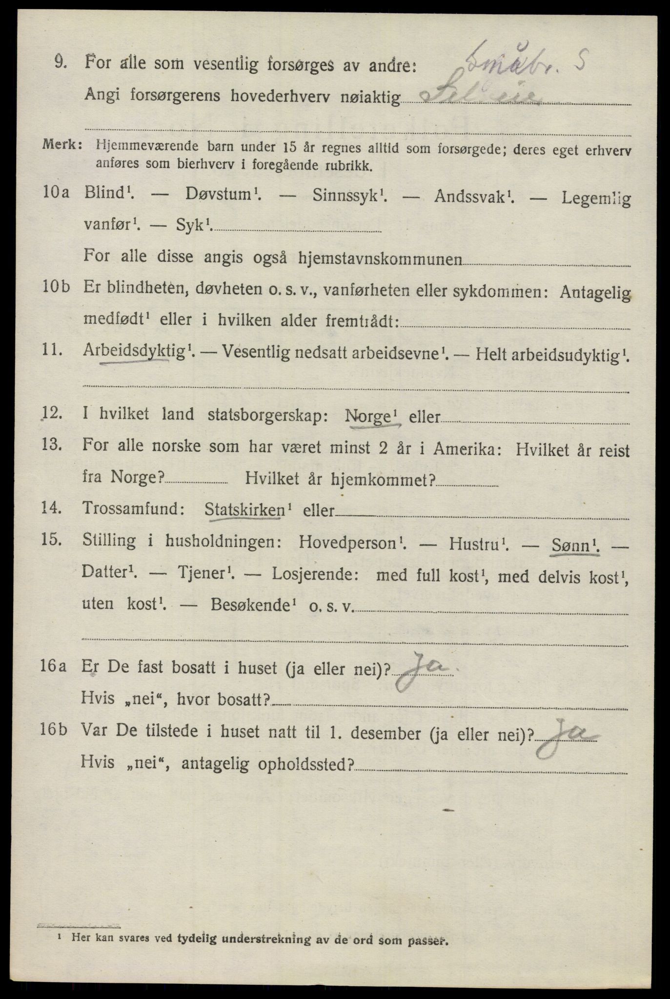 SAO, 1920 census for Nes, 1920, p. 7625