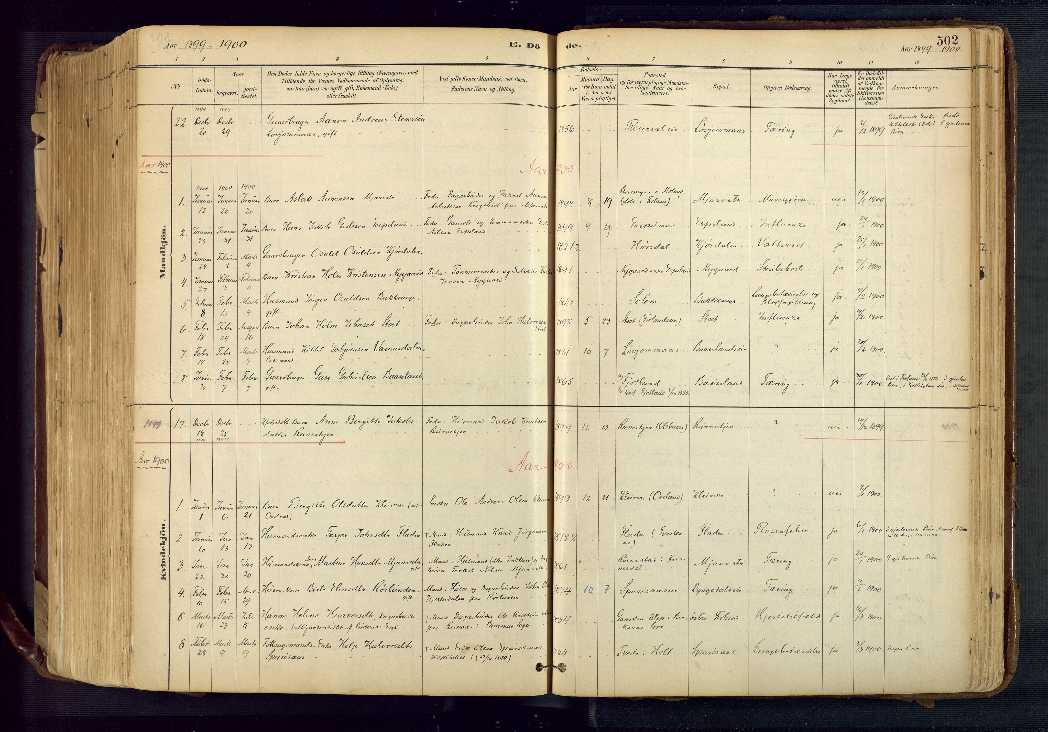 Froland sokneprestkontor, SAK/1111-0013/F/Fa/L0005: Parish register (official) no. A 5, 1882-1921, p. 502