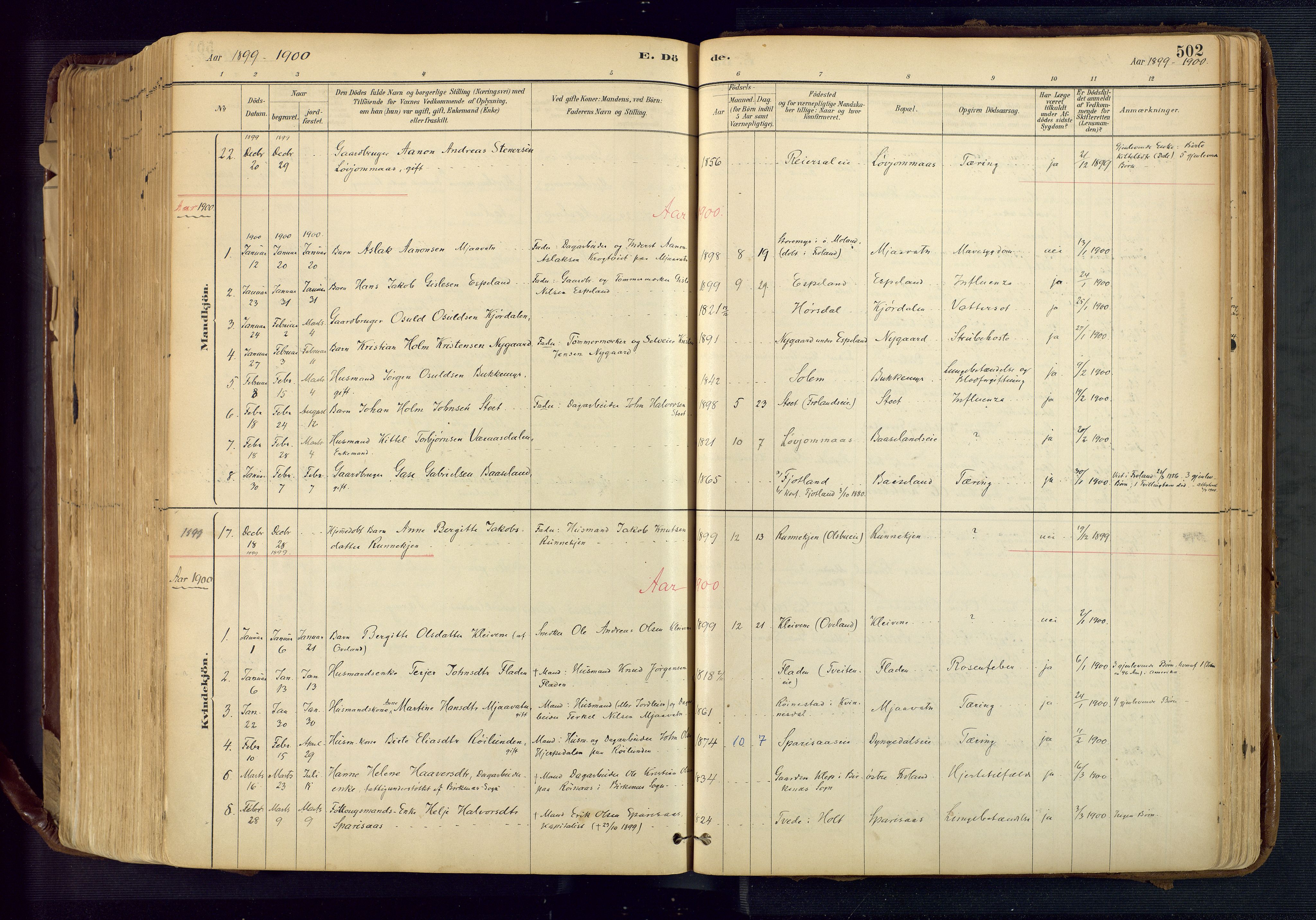 Froland sokneprestkontor, AV/SAK-1111-0013/F/Fa/L0005: Parish register (official) no. A 5, 1882-1921, p. 502