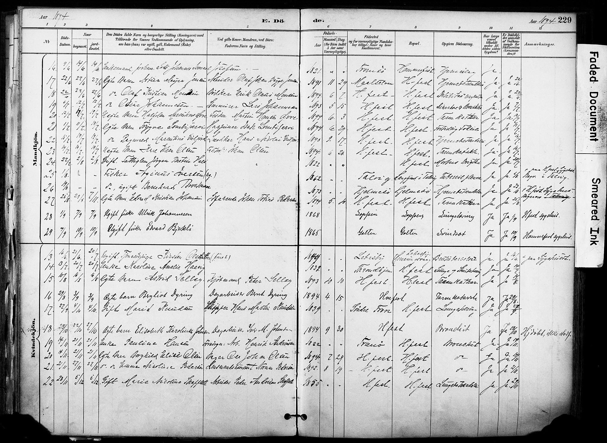 Hammerfest sokneprestkontor, AV/SATØ-S-1347/H/Ha/L0009.kirke: Parish register (official) no. 9, 1889-1897, p. 229