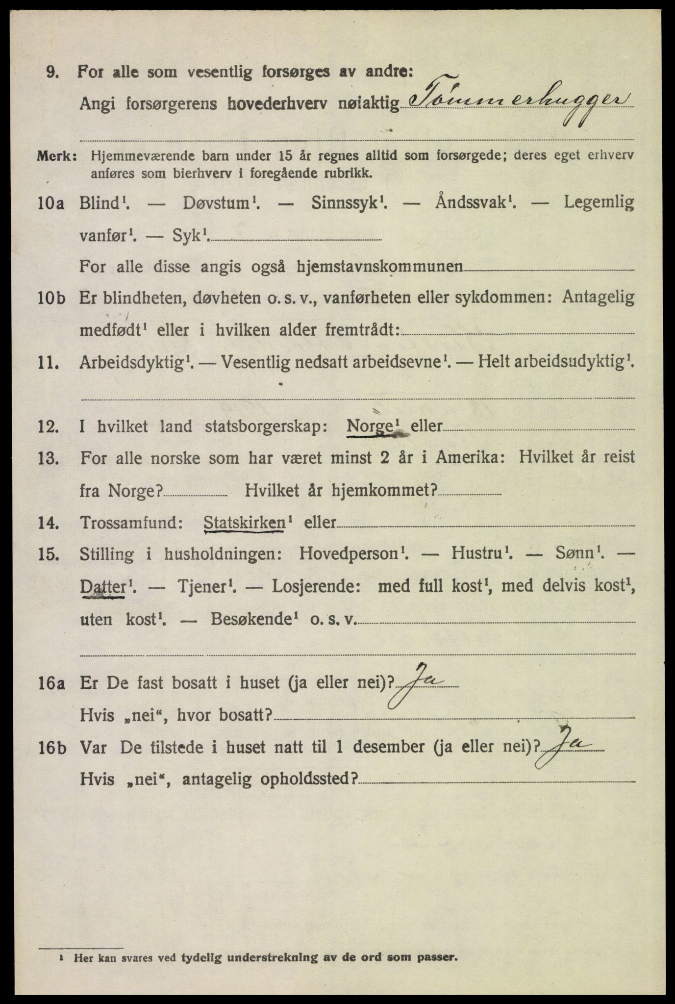 SAH, 1920 census for Trysil, 1920, p. 2738