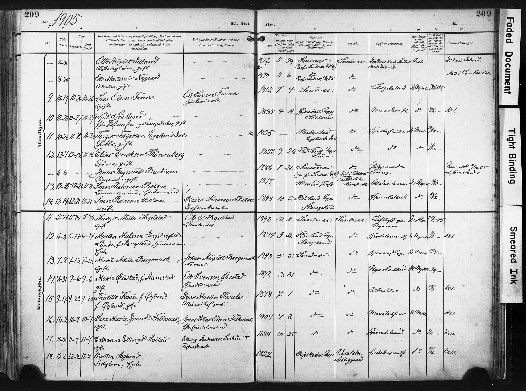 Høyland sokneprestkontor, SAST/A-101799/001/30BA/L0016: Parish register (official) no. A 16, 1899-1911, p. 209