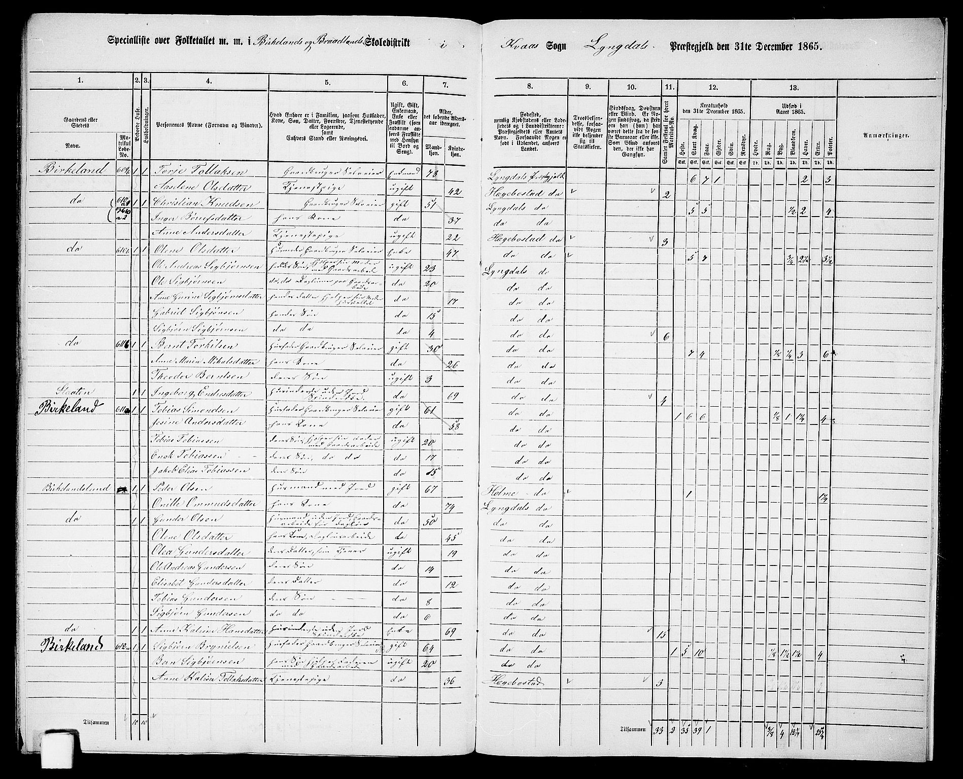 RA, 1865 census for Lyngdal, 1865, p. 247